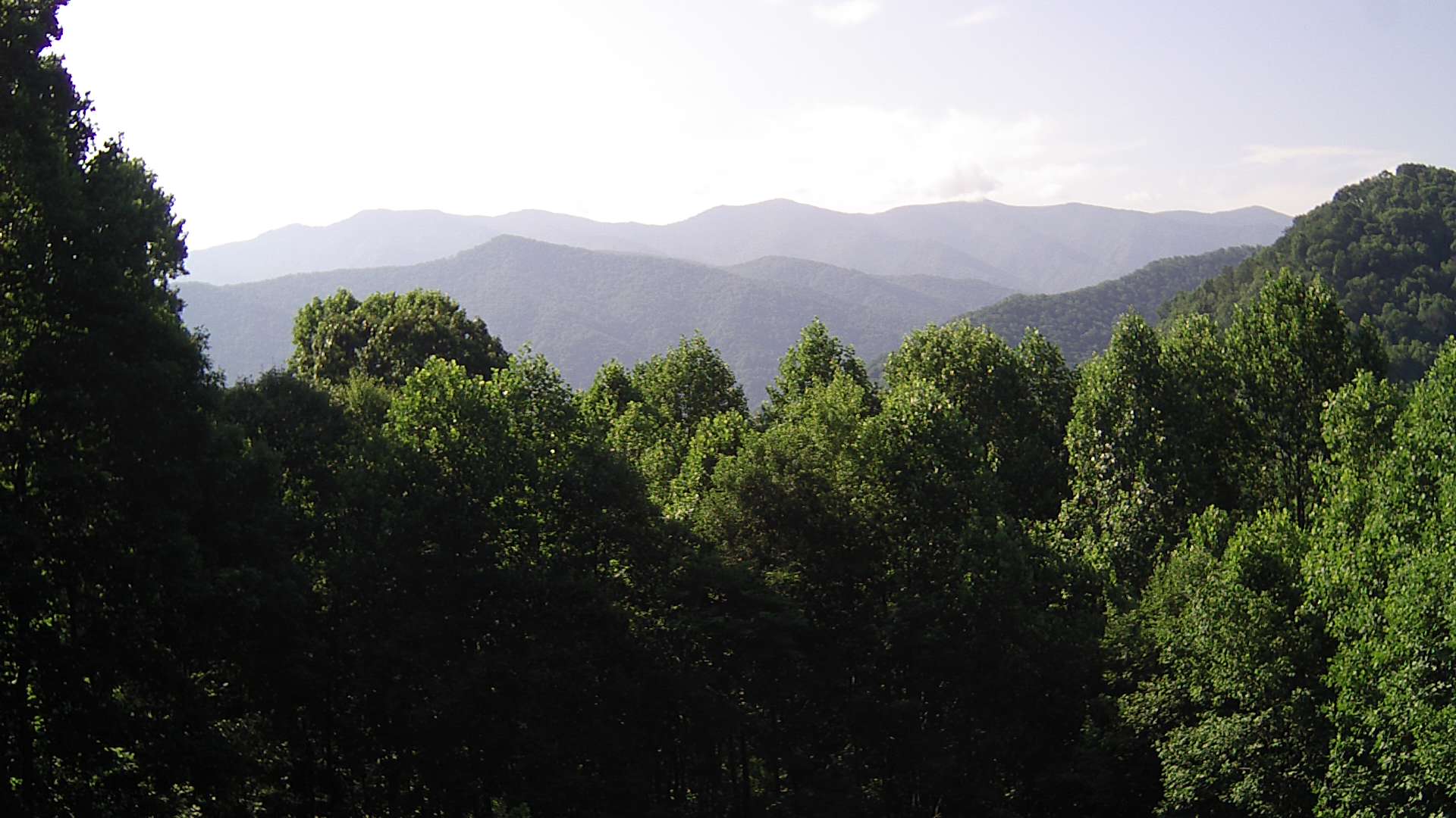 click for next image... slideshow image