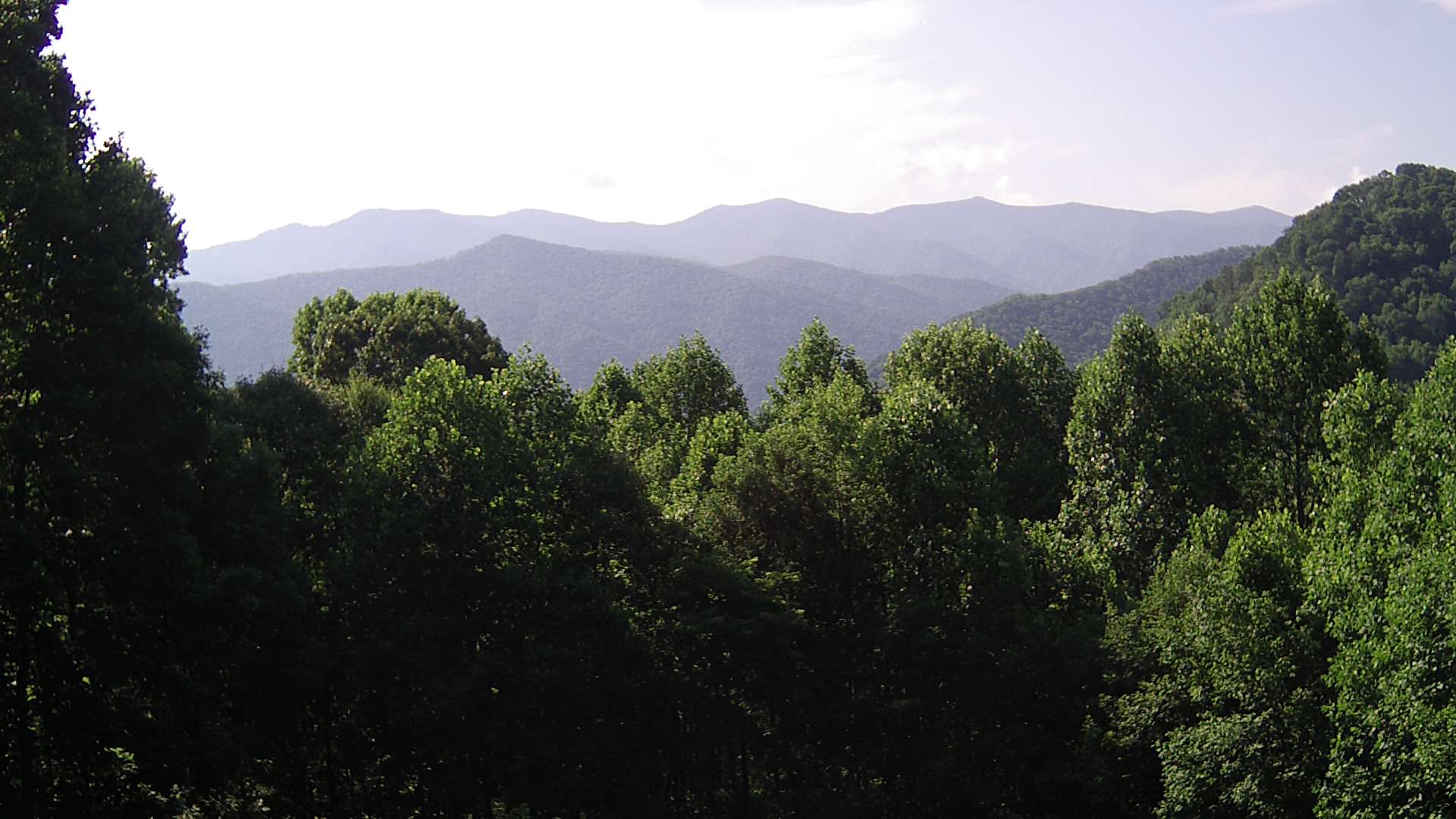 click for next image... slideshow image