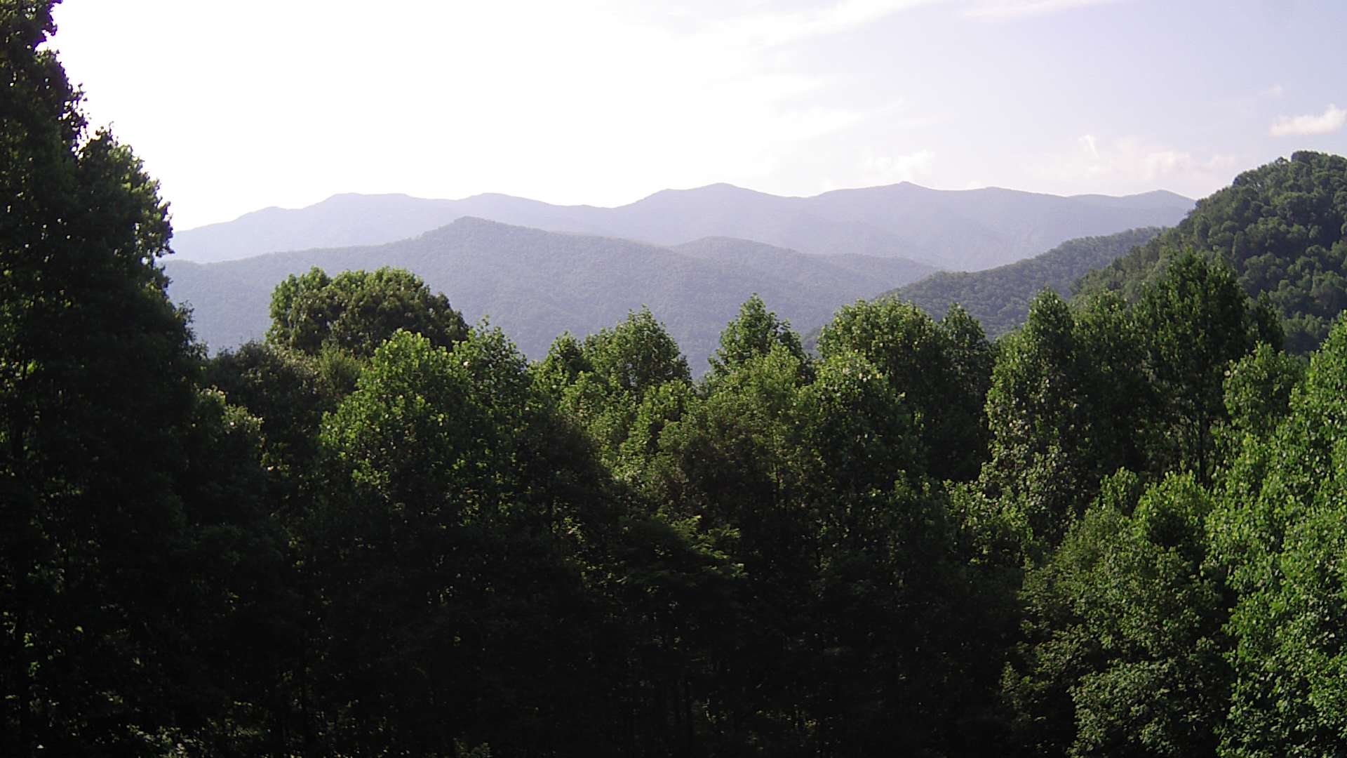 click for next image... slideshow image