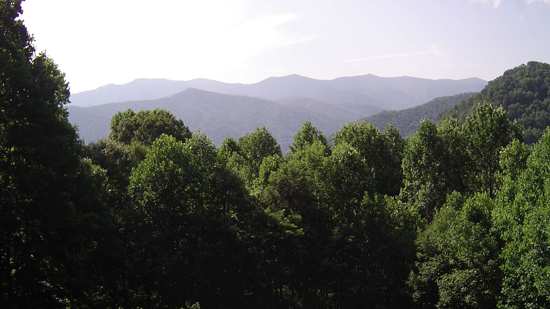 click for next image... slideshow image