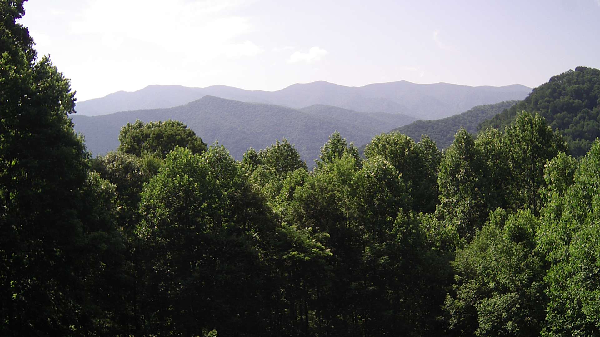 click for next image... slideshow image