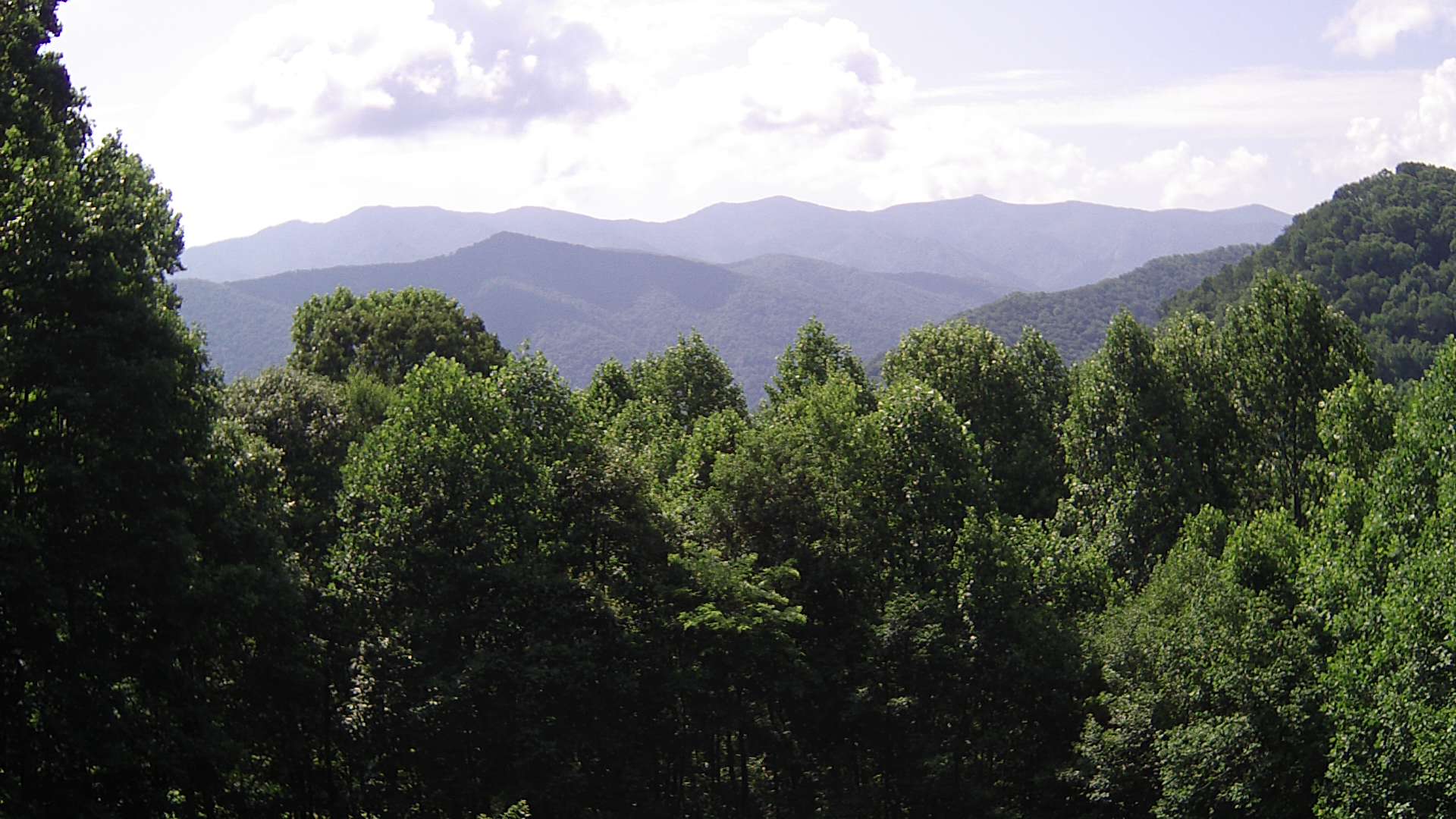 click for next image... slideshow image