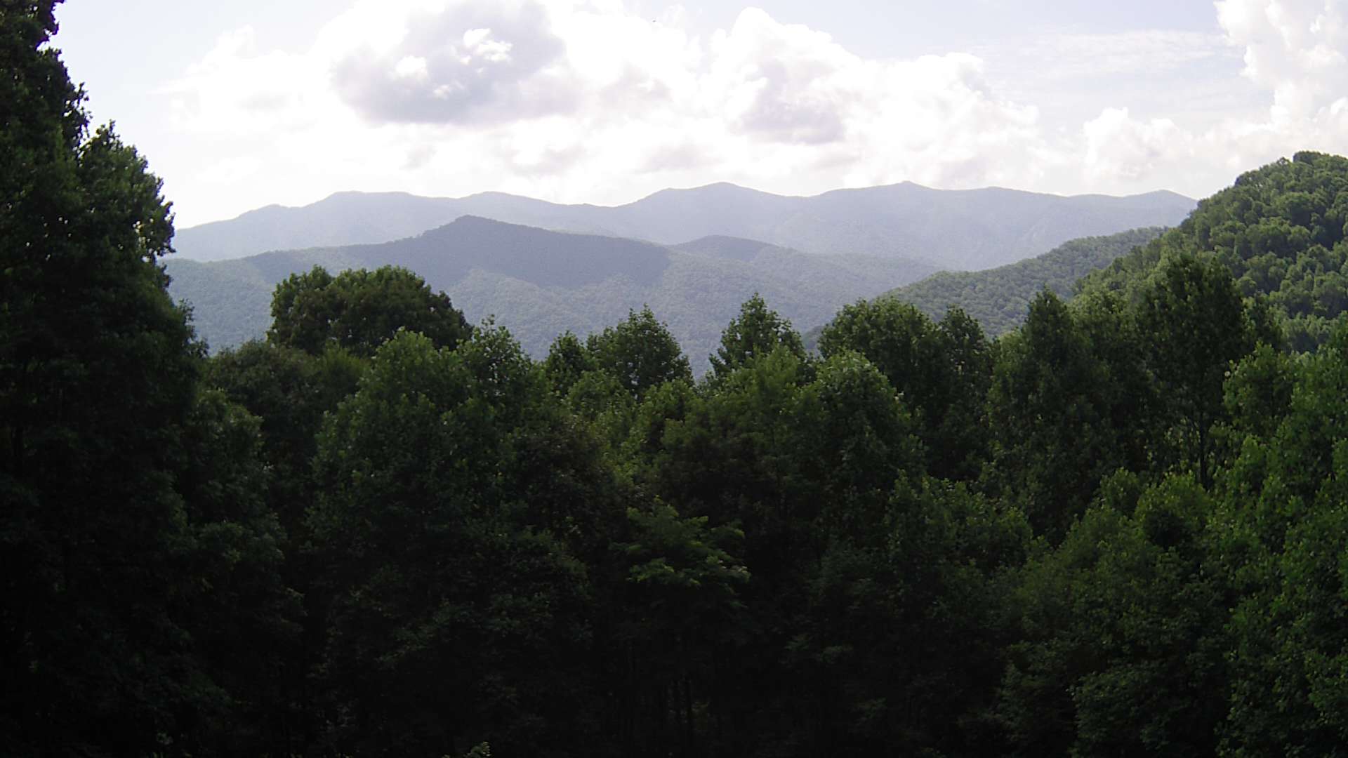 click for next image... slideshow image