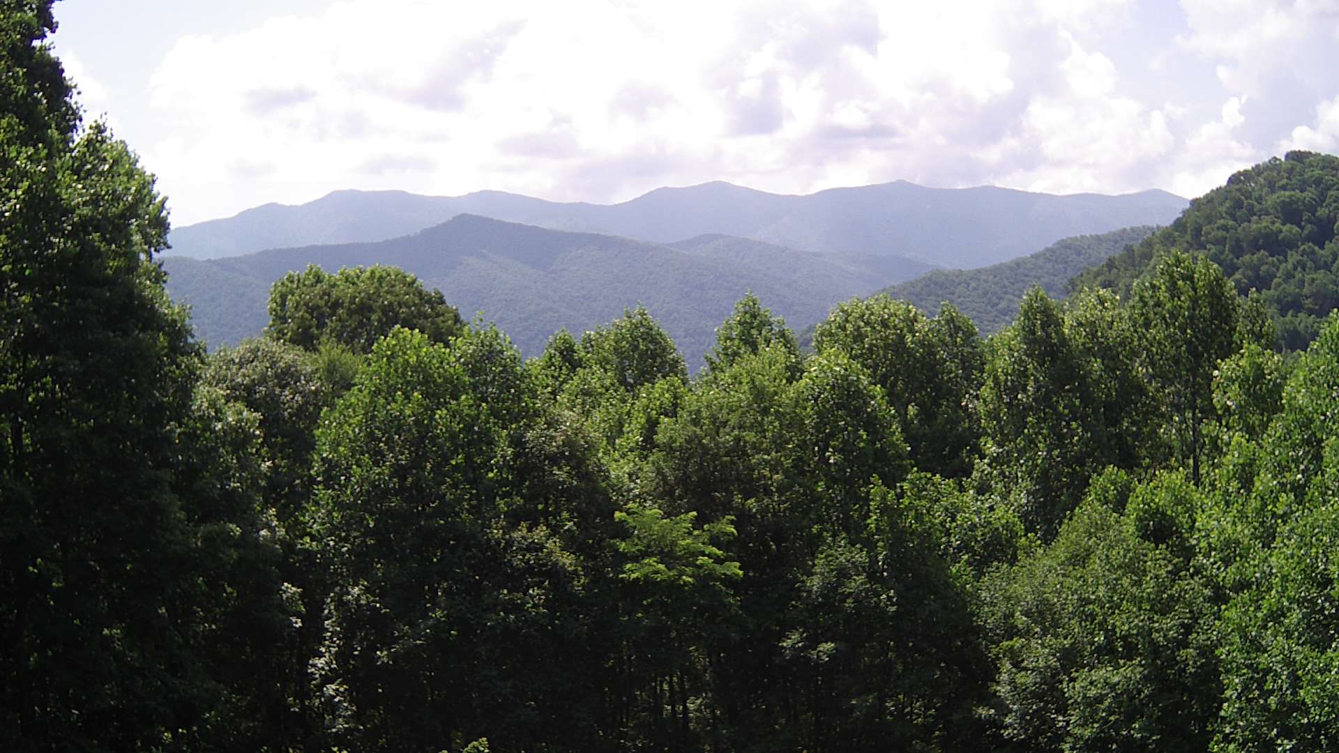 click for next image... slideshow image