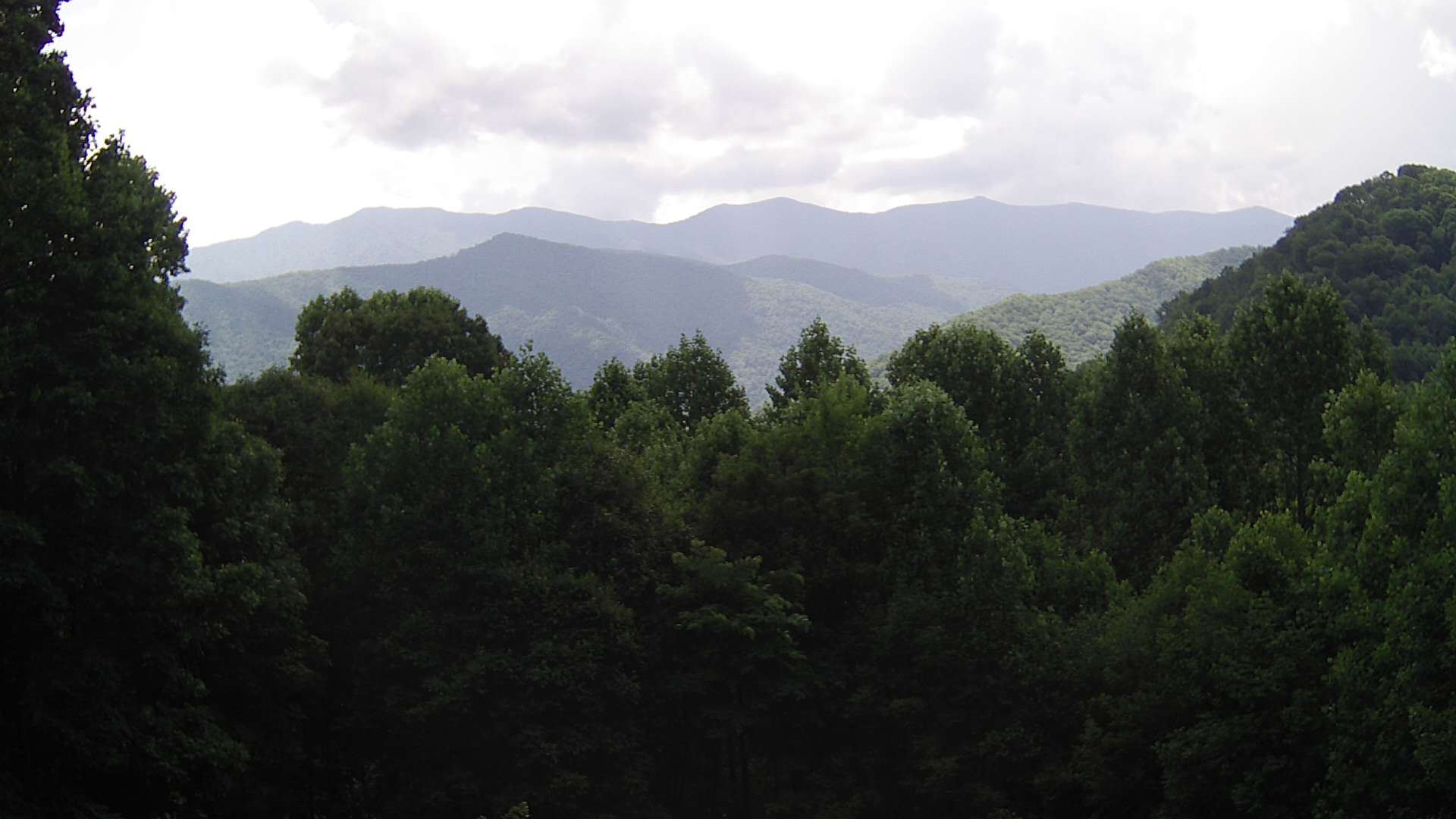 click for next image... slideshow image