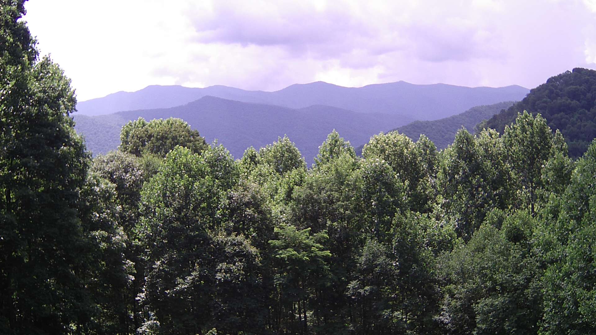 click for next image... slideshow image