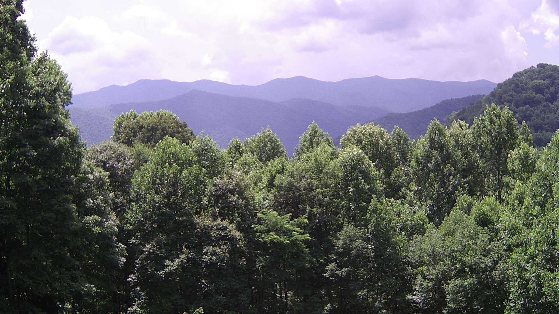 click for next image... slideshow image