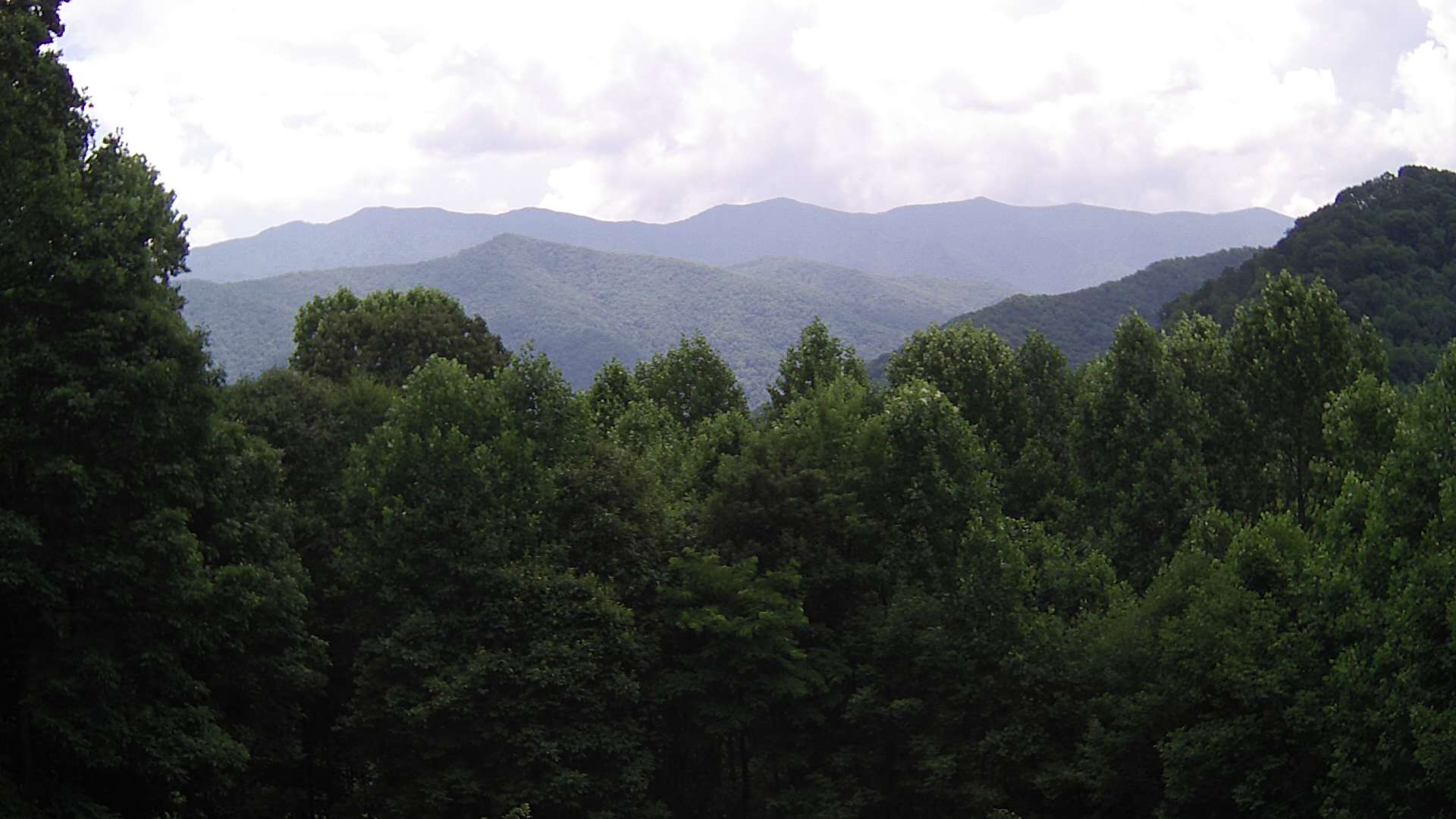 click for next image... slideshow image