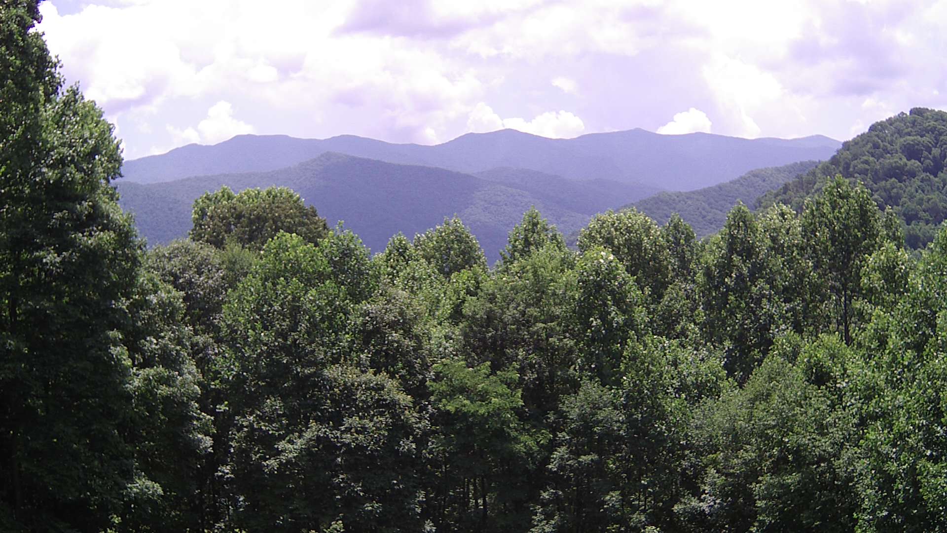 click for next image... slideshow image