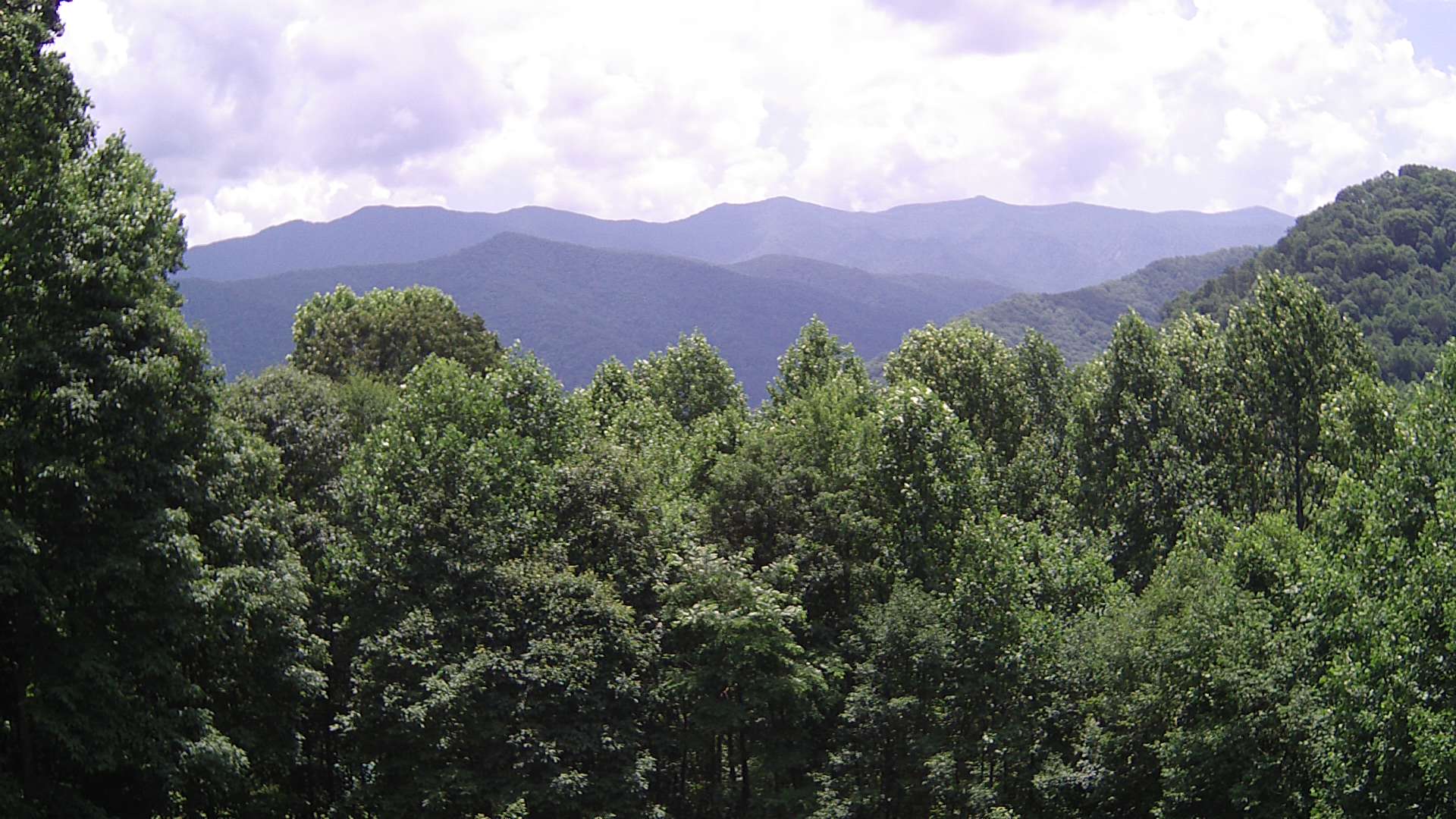 click for next image... slideshow image