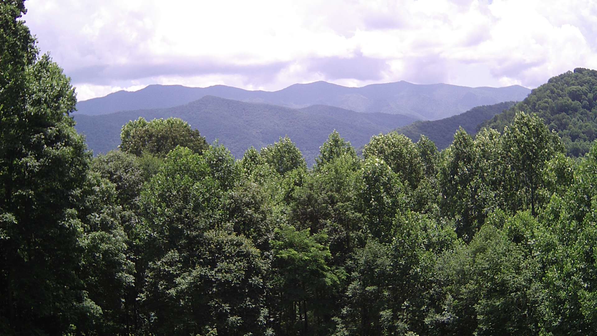 click for next image... slideshow image