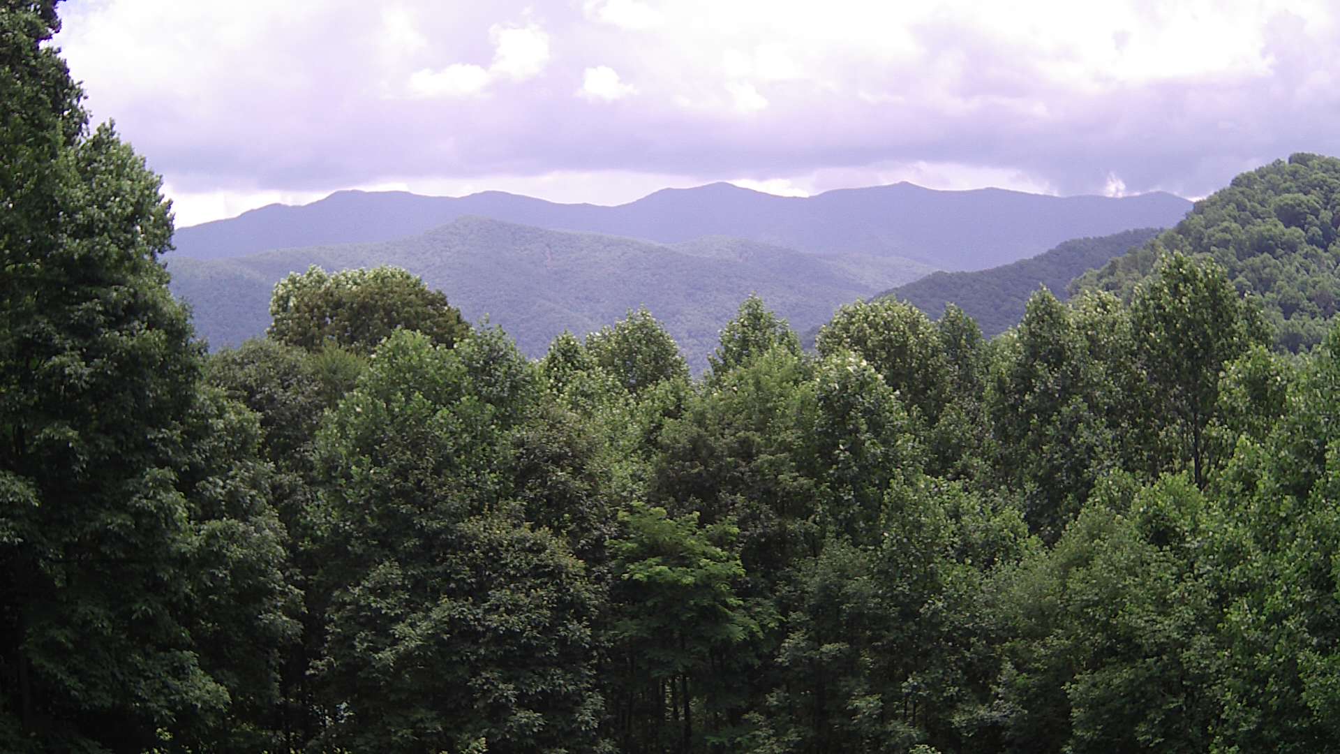 click for next image... slideshow image