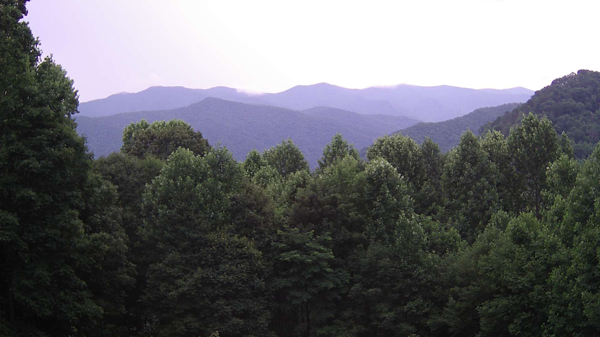 click for next image... slideshow image