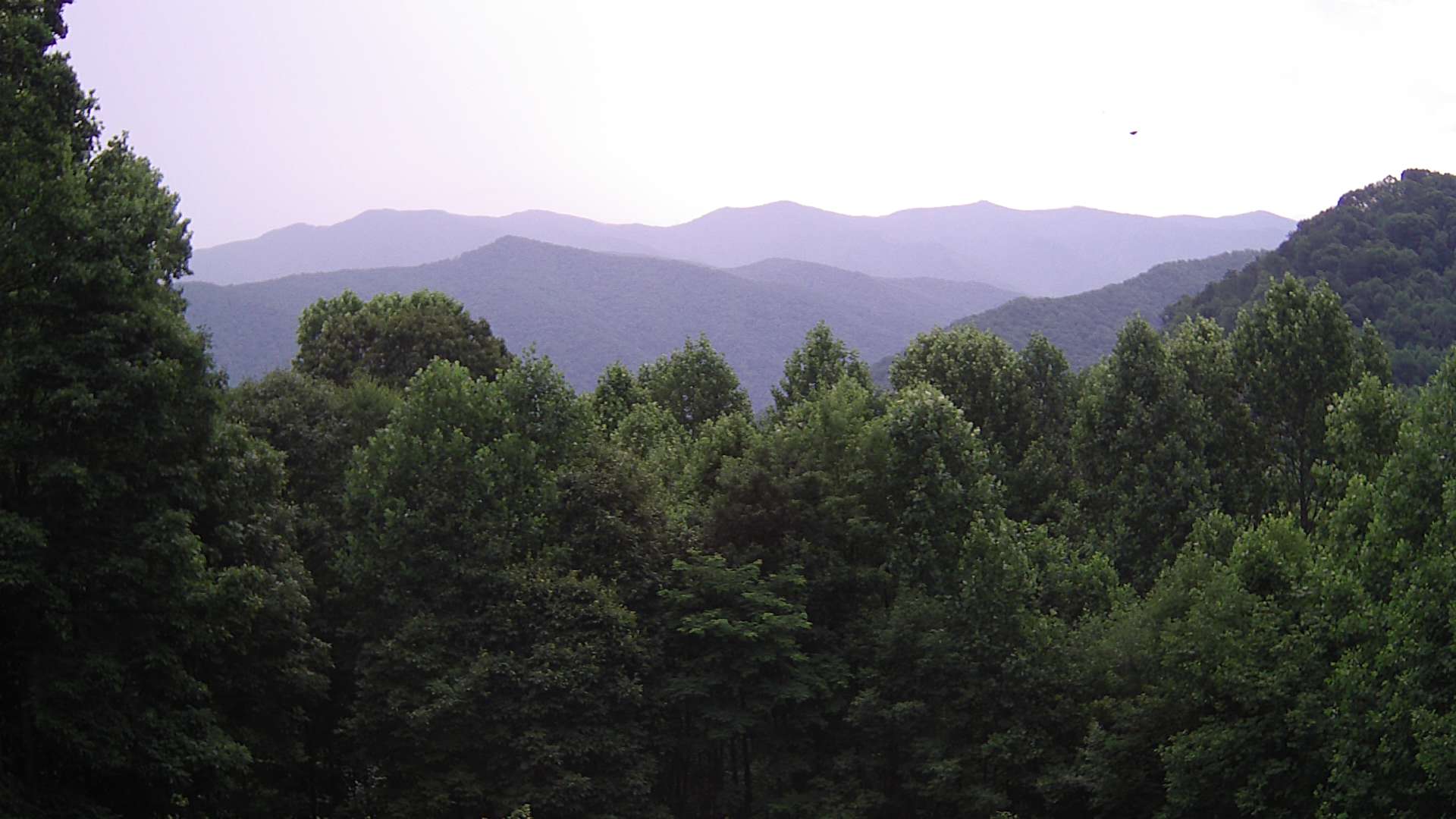 click for next image... slideshow image