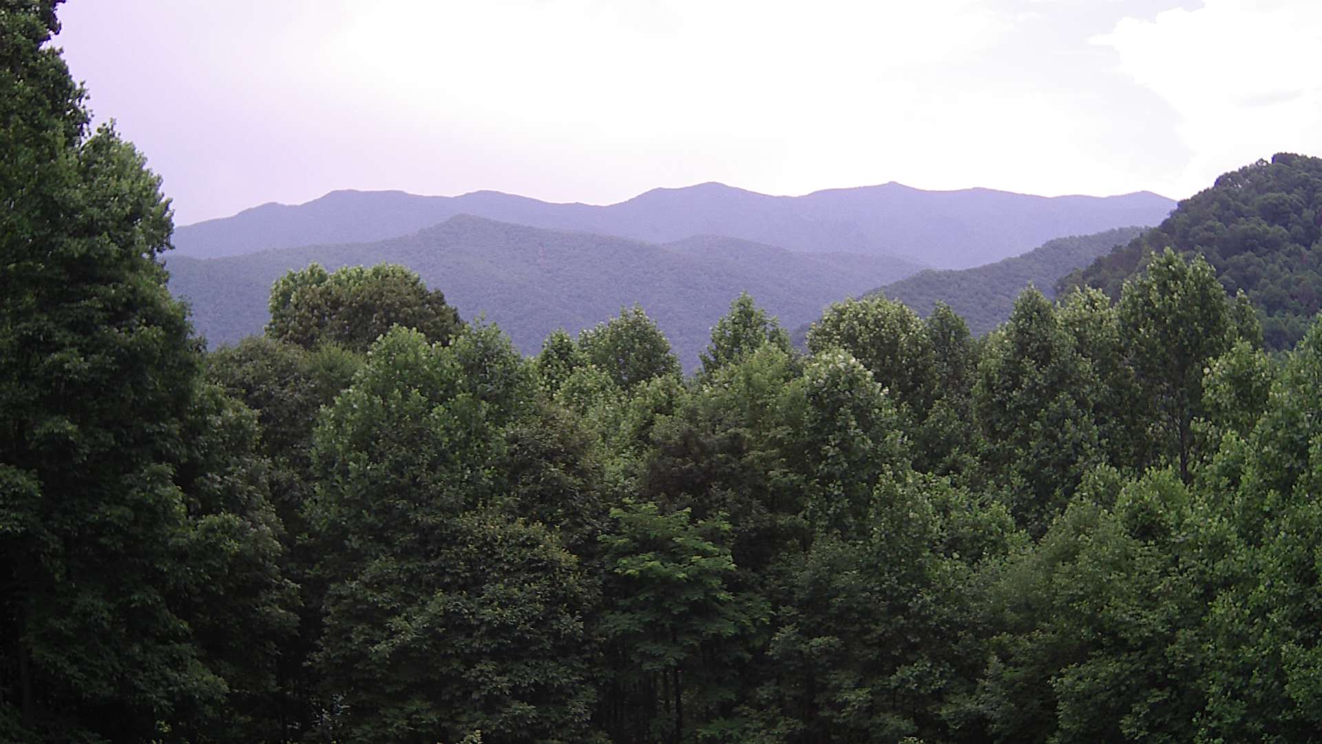 click for next image... slideshow image