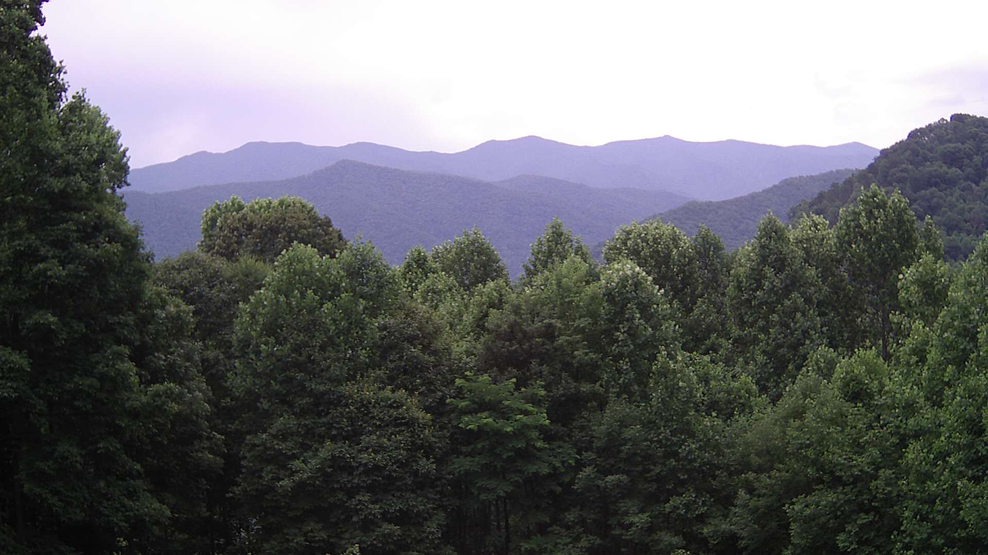 click for next image... slideshow image