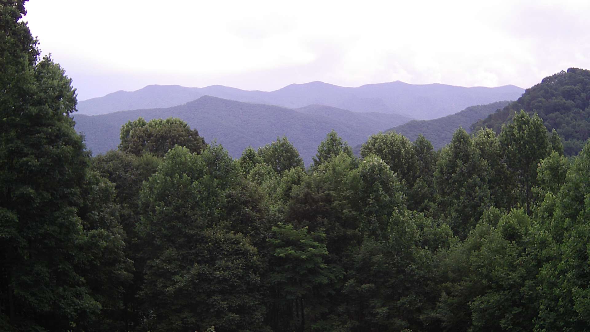 click for next image... slideshow image