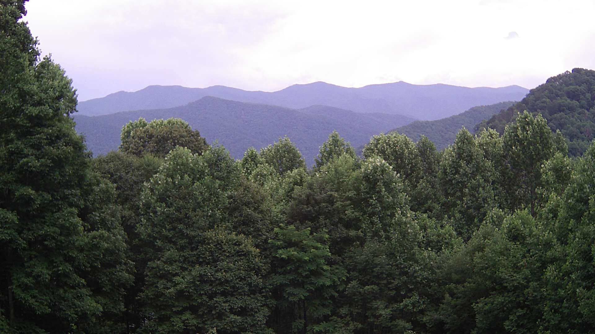 click for next image... slideshow image