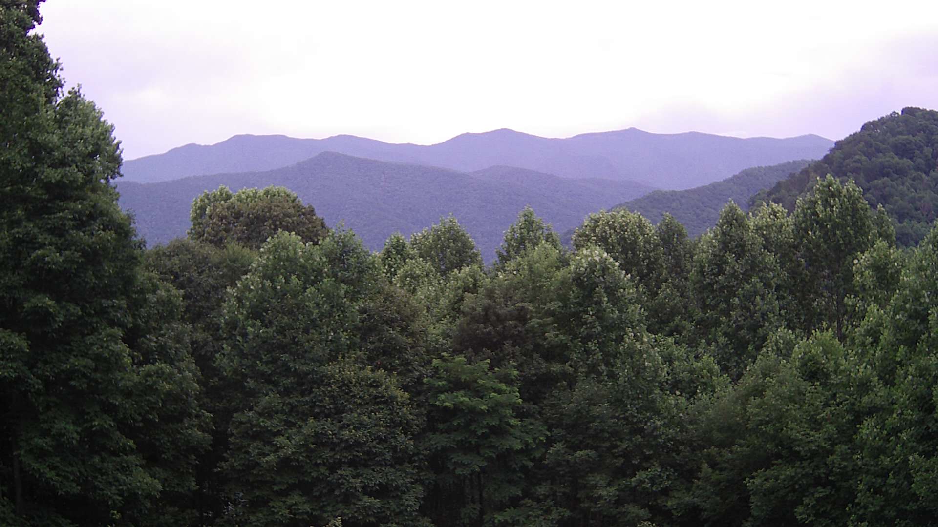 click for next image... slideshow image