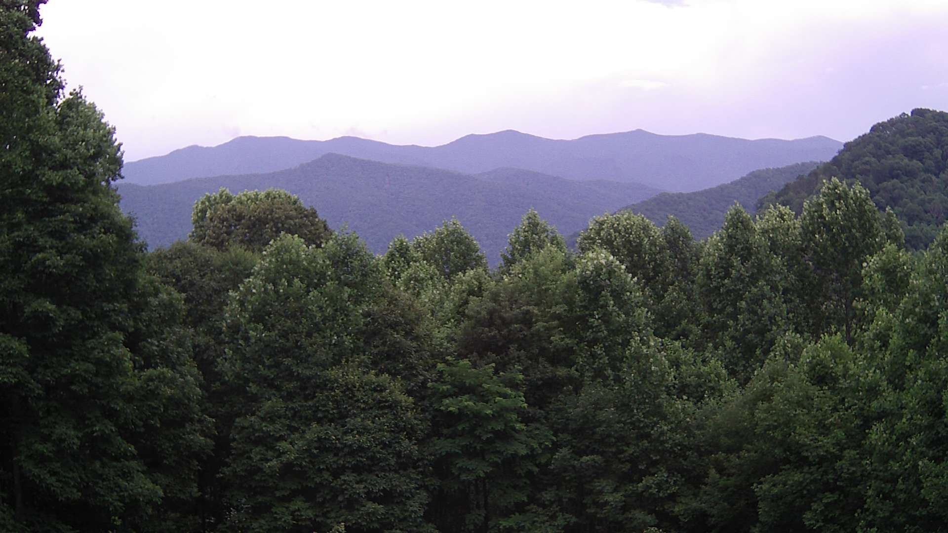 click for next image... slideshow image