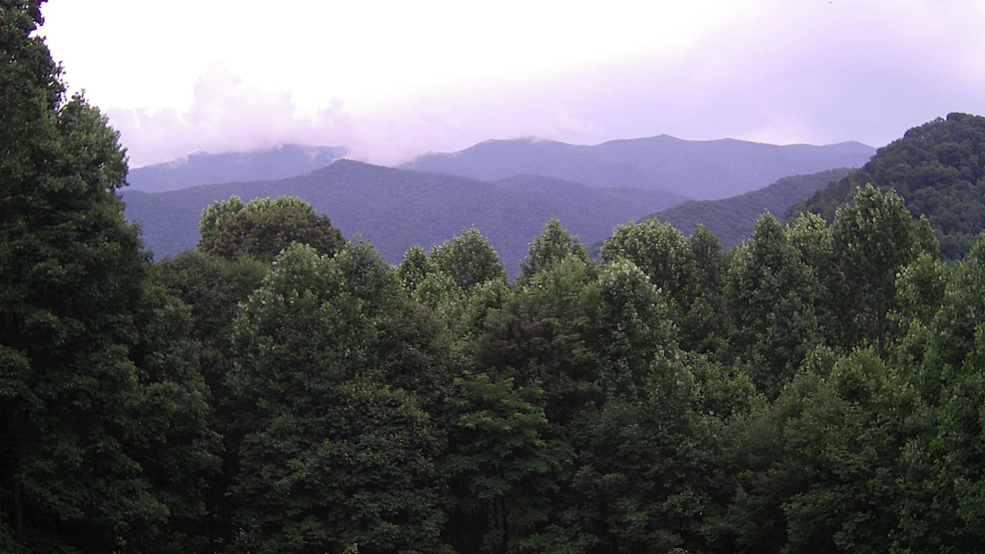 click for next image... slideshow image