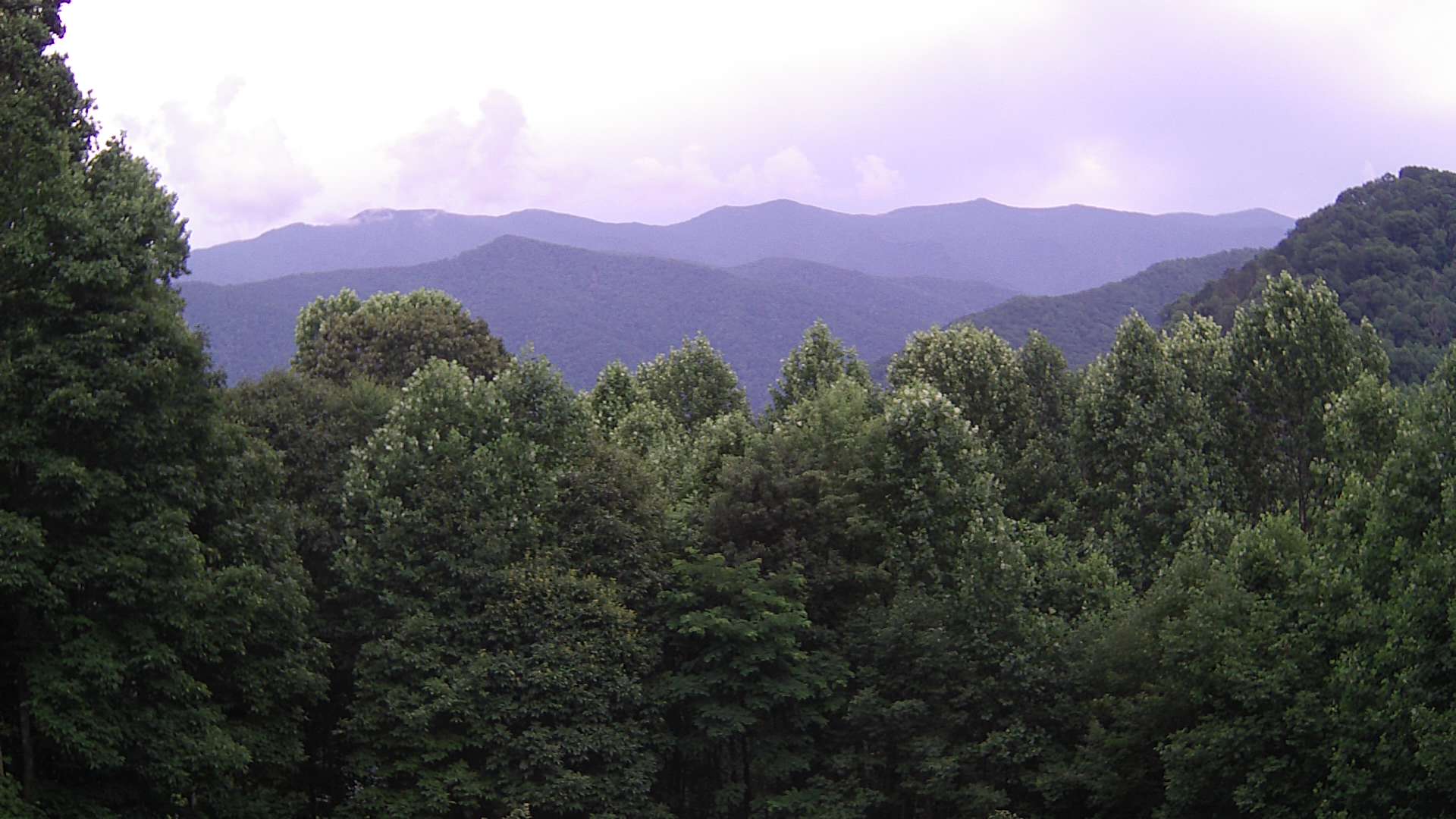 click for next image... slideshow image