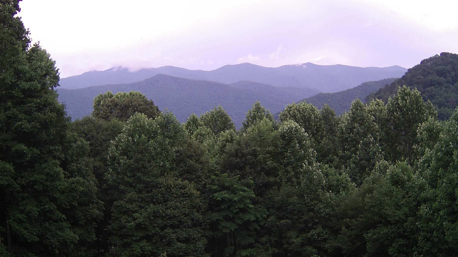 click for next image... slideshow image