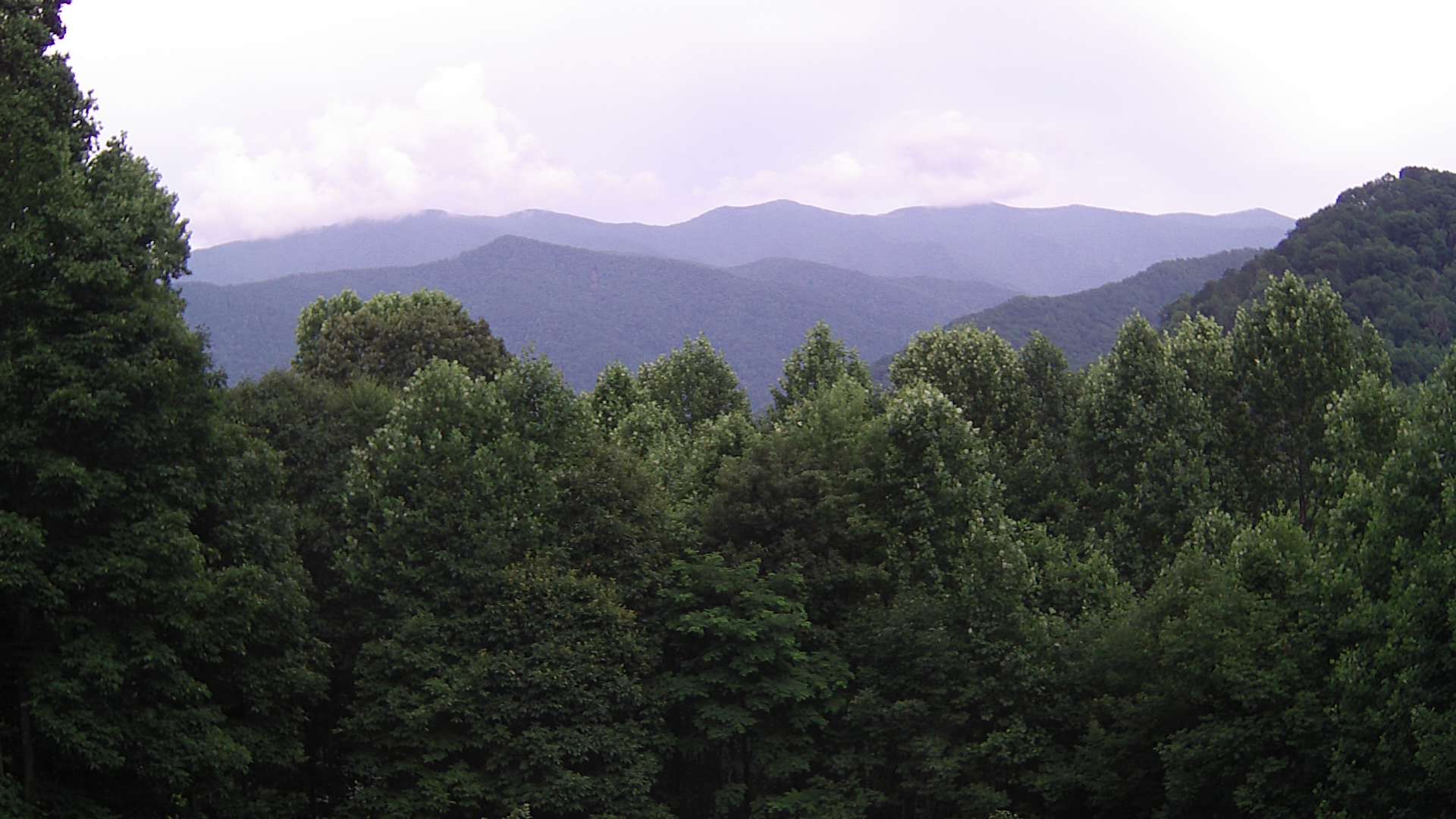 click for next image... slideshow image