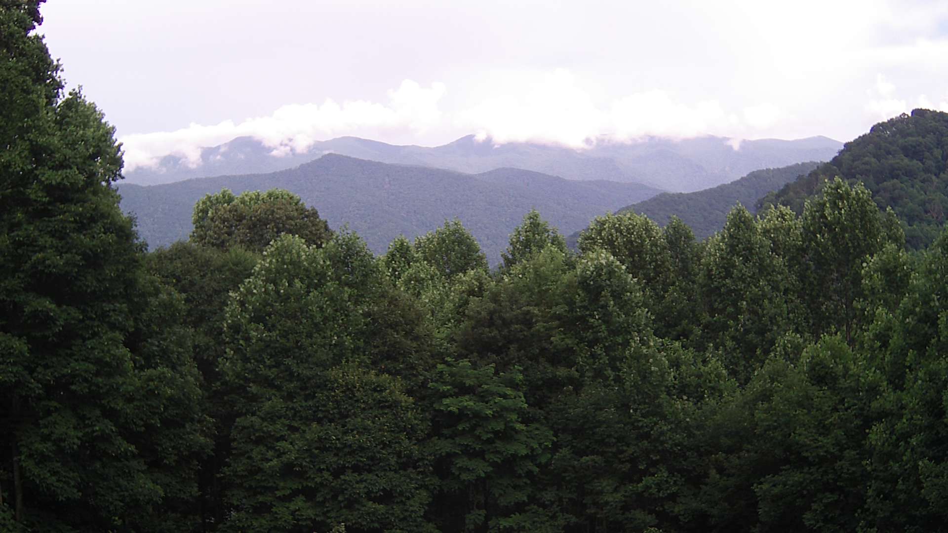 click for next image... slideshow image