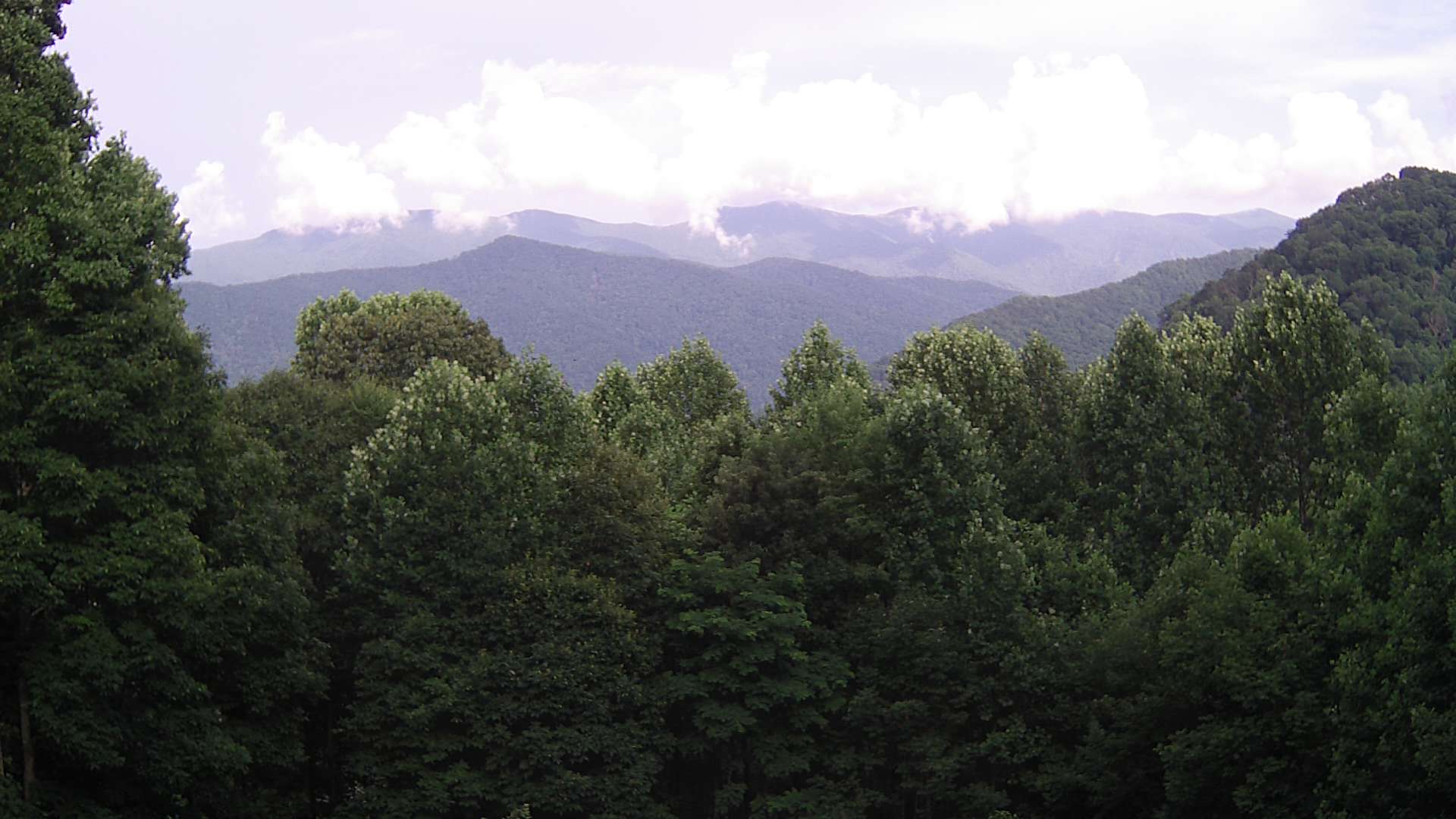 click for next image... slideshow image