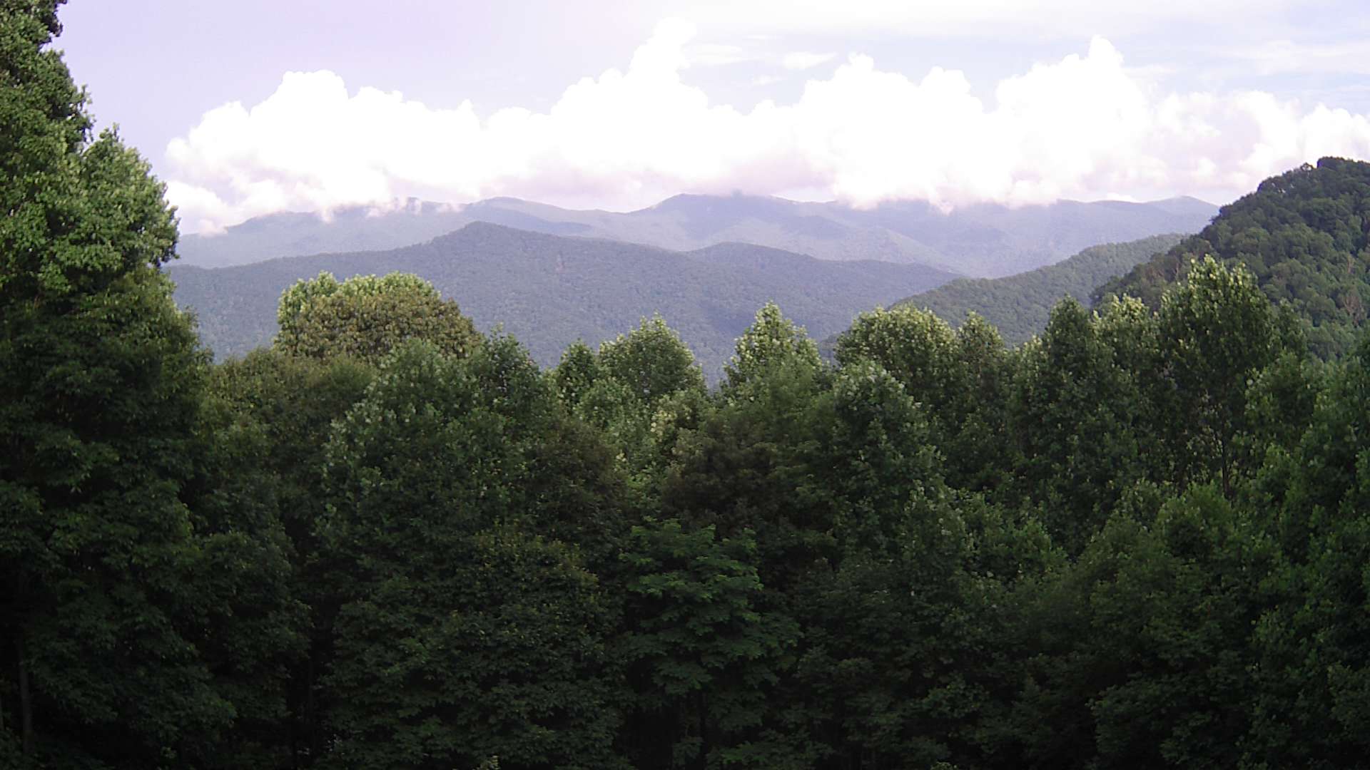 click for next image... slideshow image