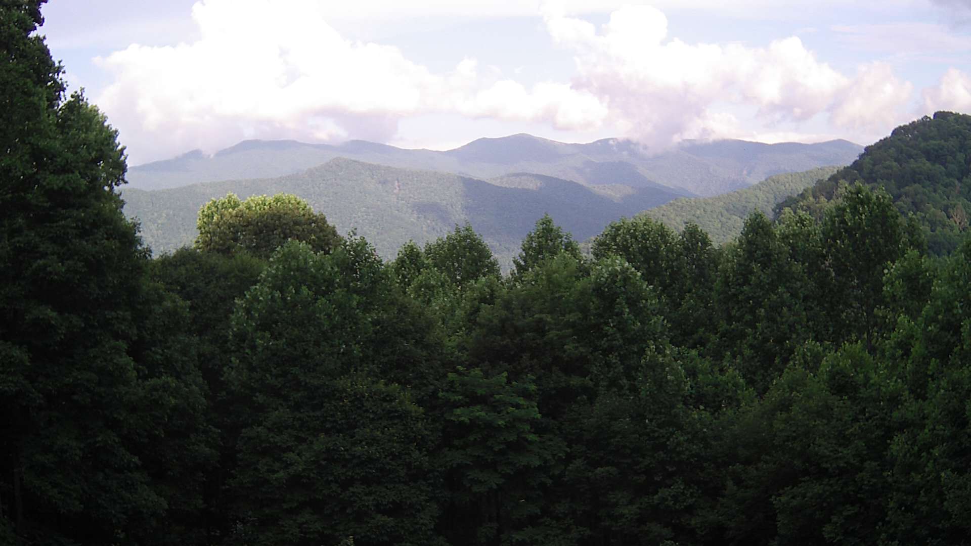 click for next image... slideshow image