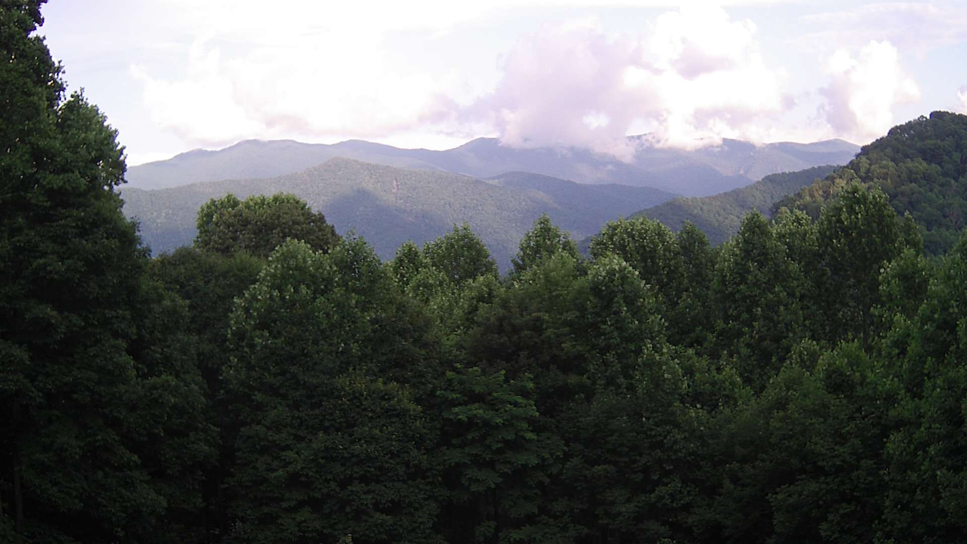 click for next image... slideshow image