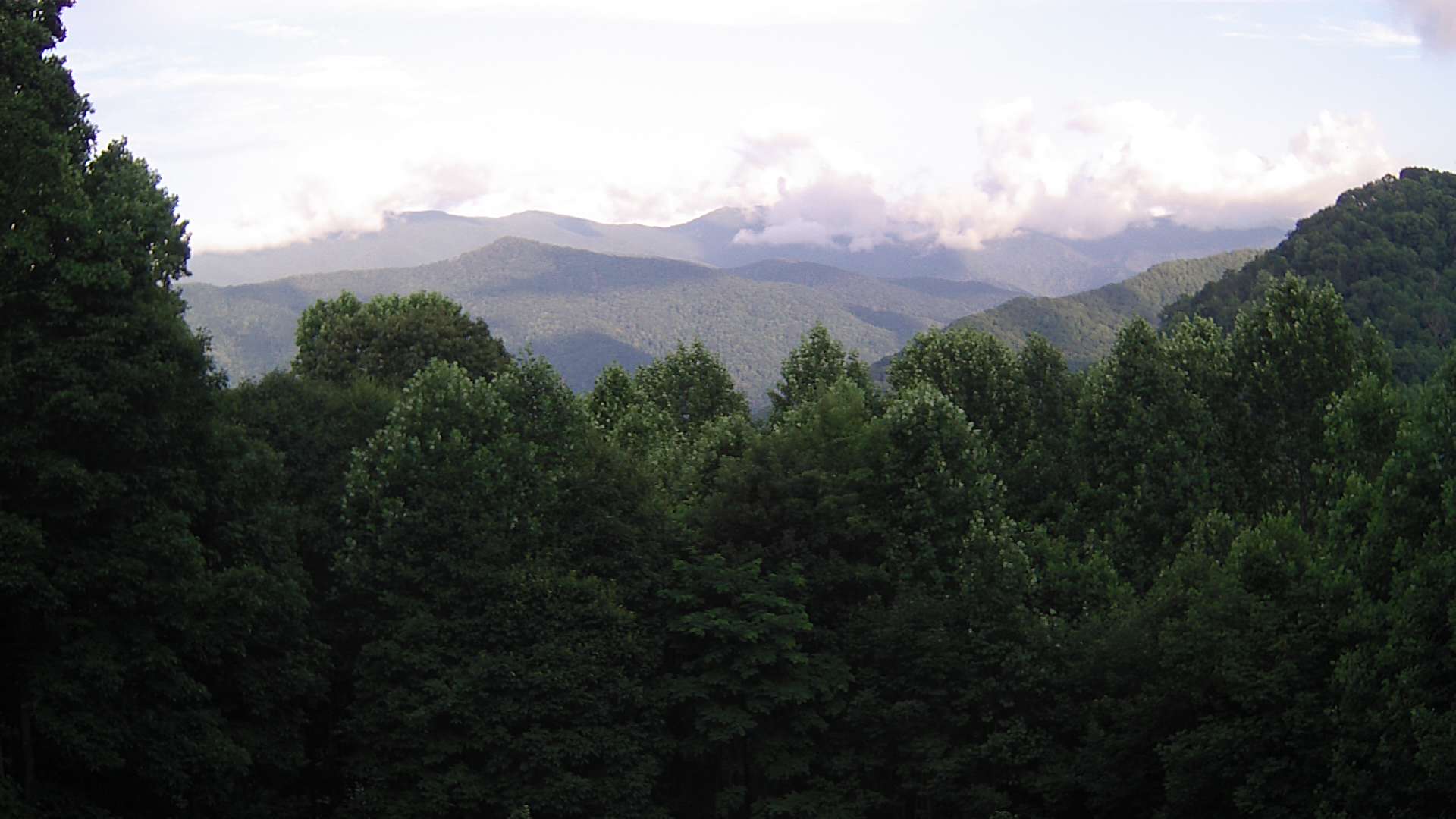 click for next image... slideshow image