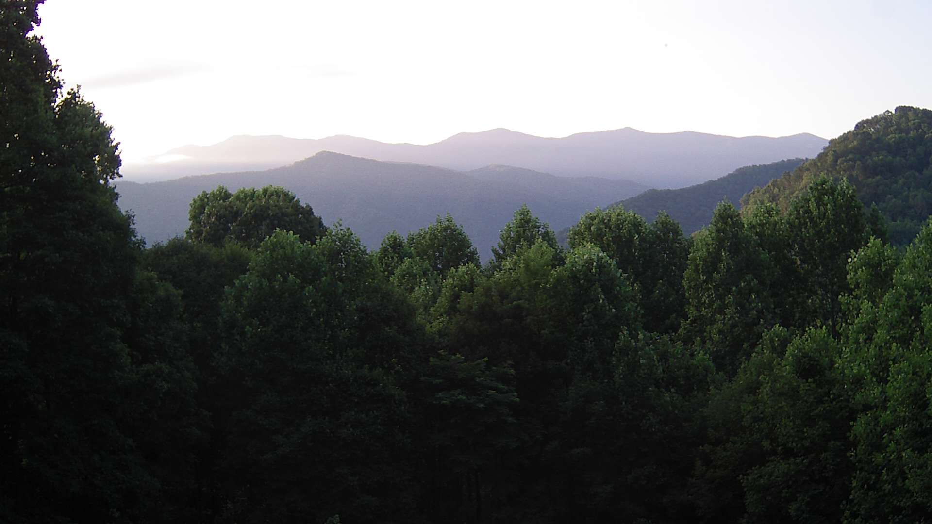 click for next image... slideshow image