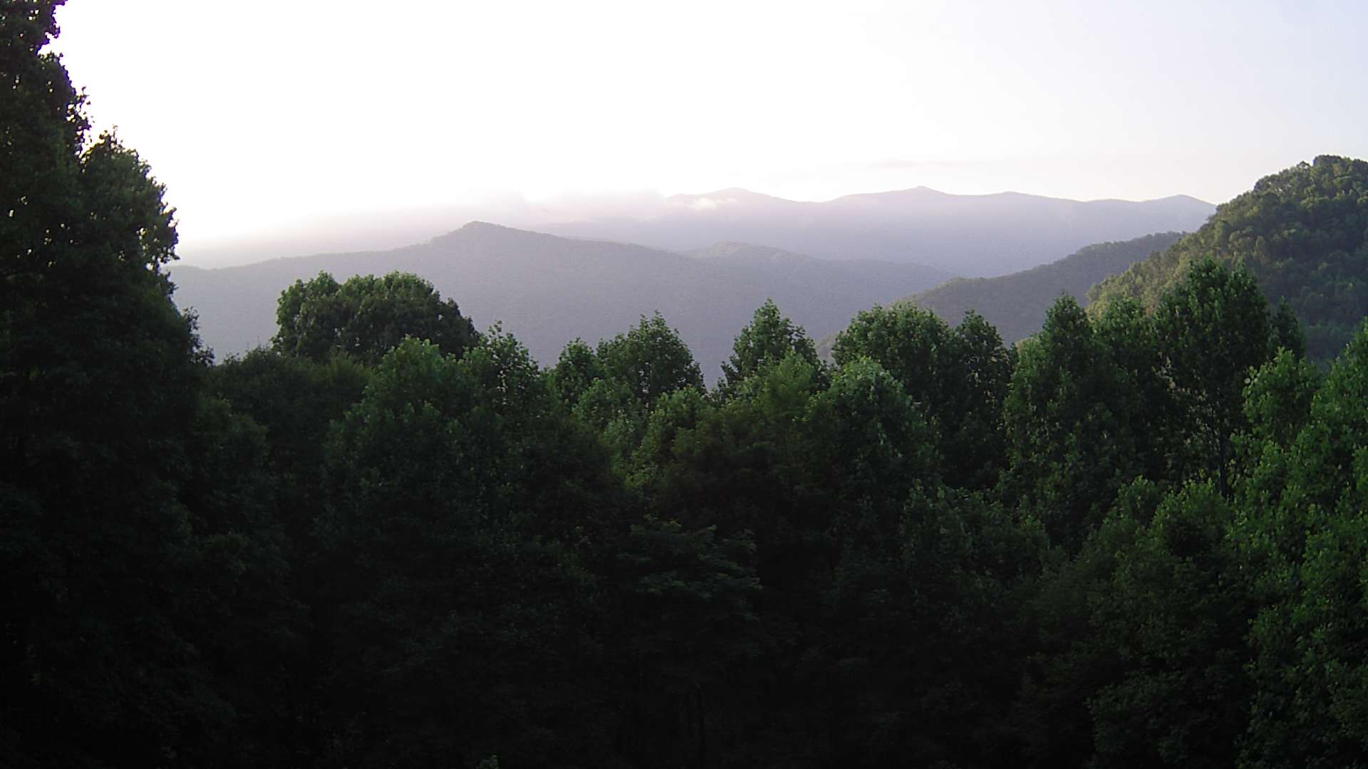 click for next image... slideshow image