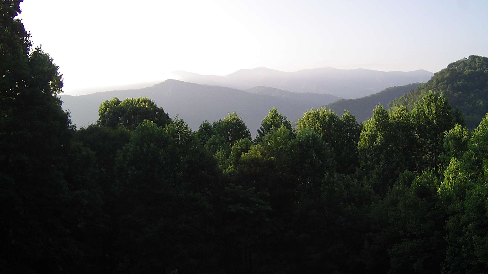 click for next image... slideshow image