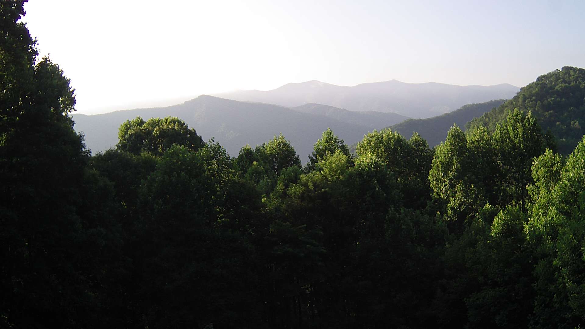 click for next image... slideshow image