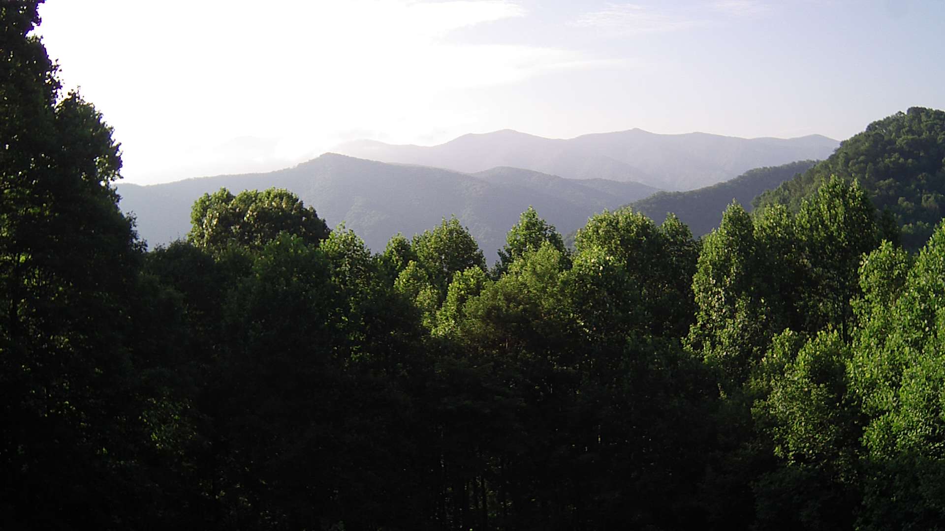 click for next image... slideshow image