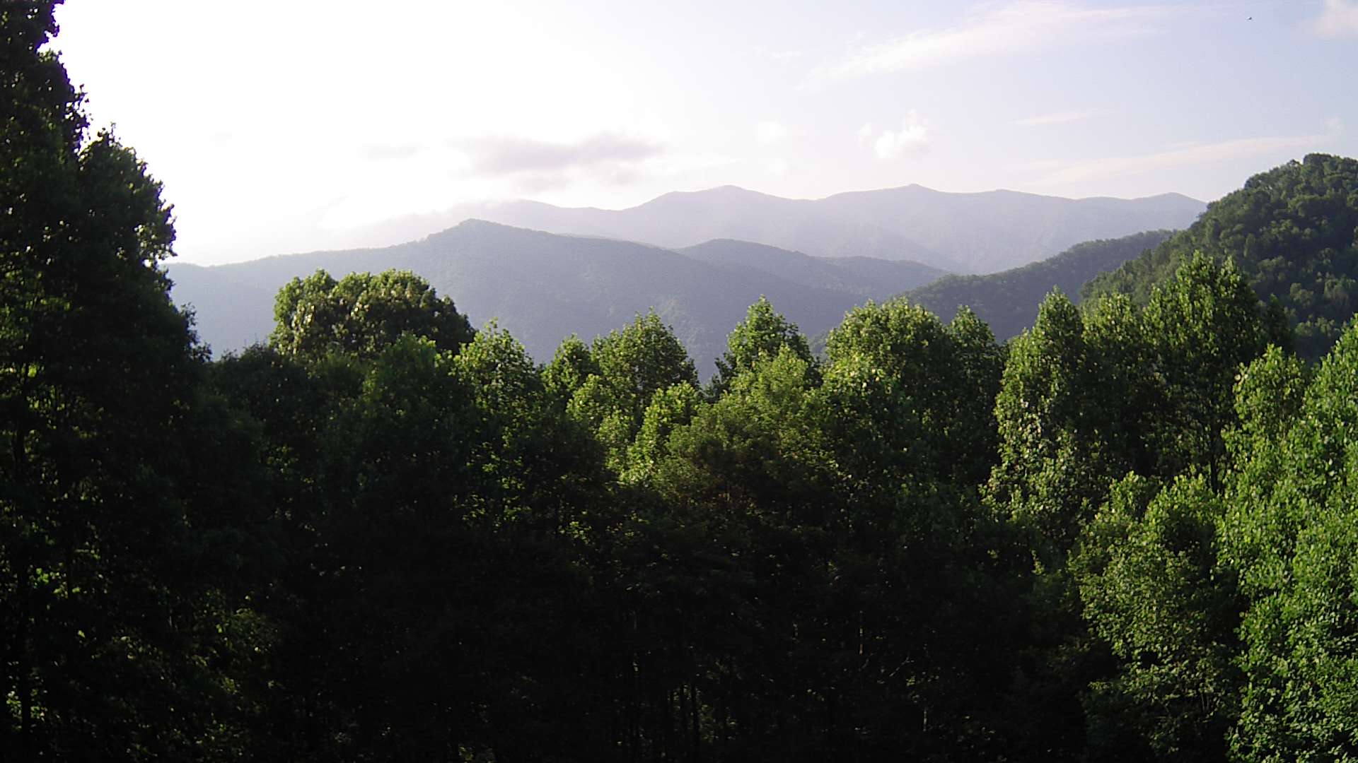 click for next image... slideshow image