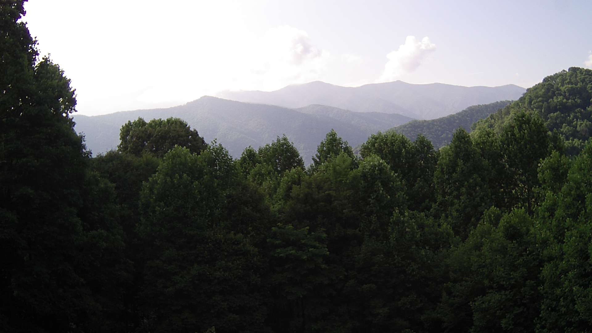 click for next image... slideshow image