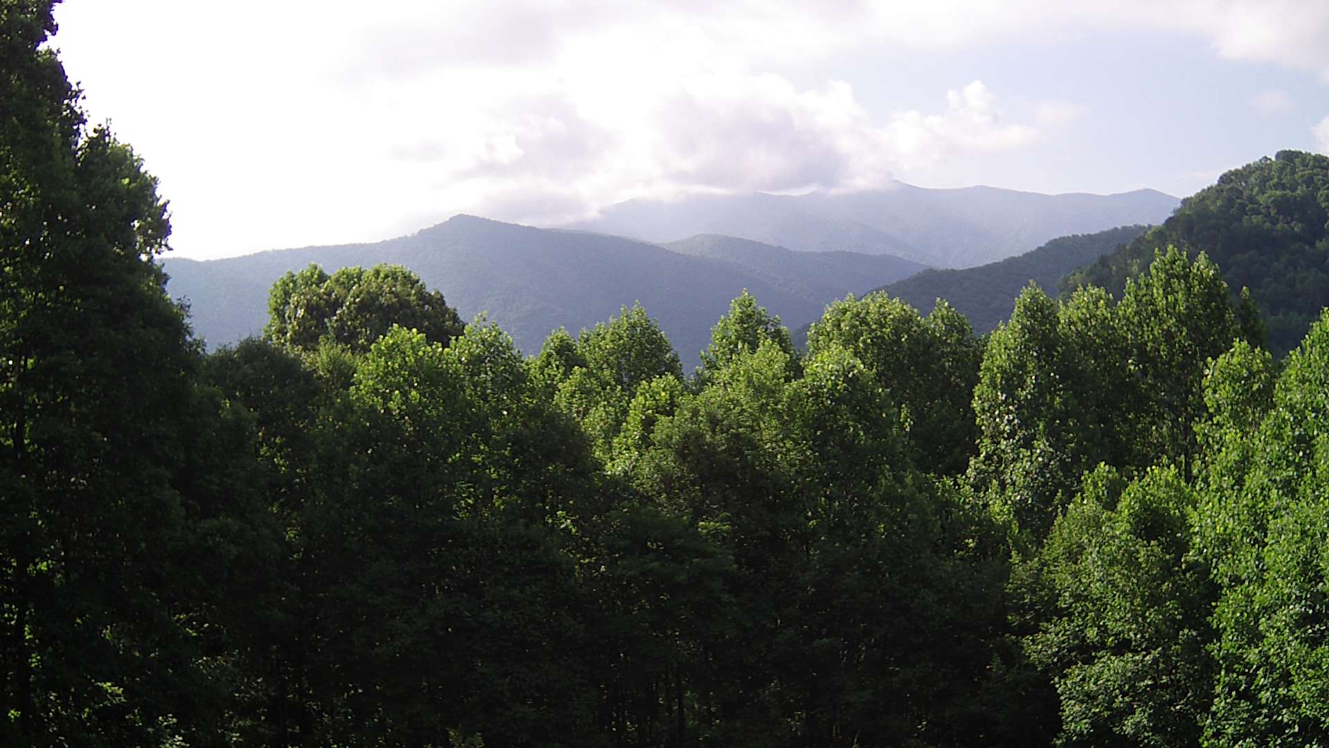 click for next image... slideshow image