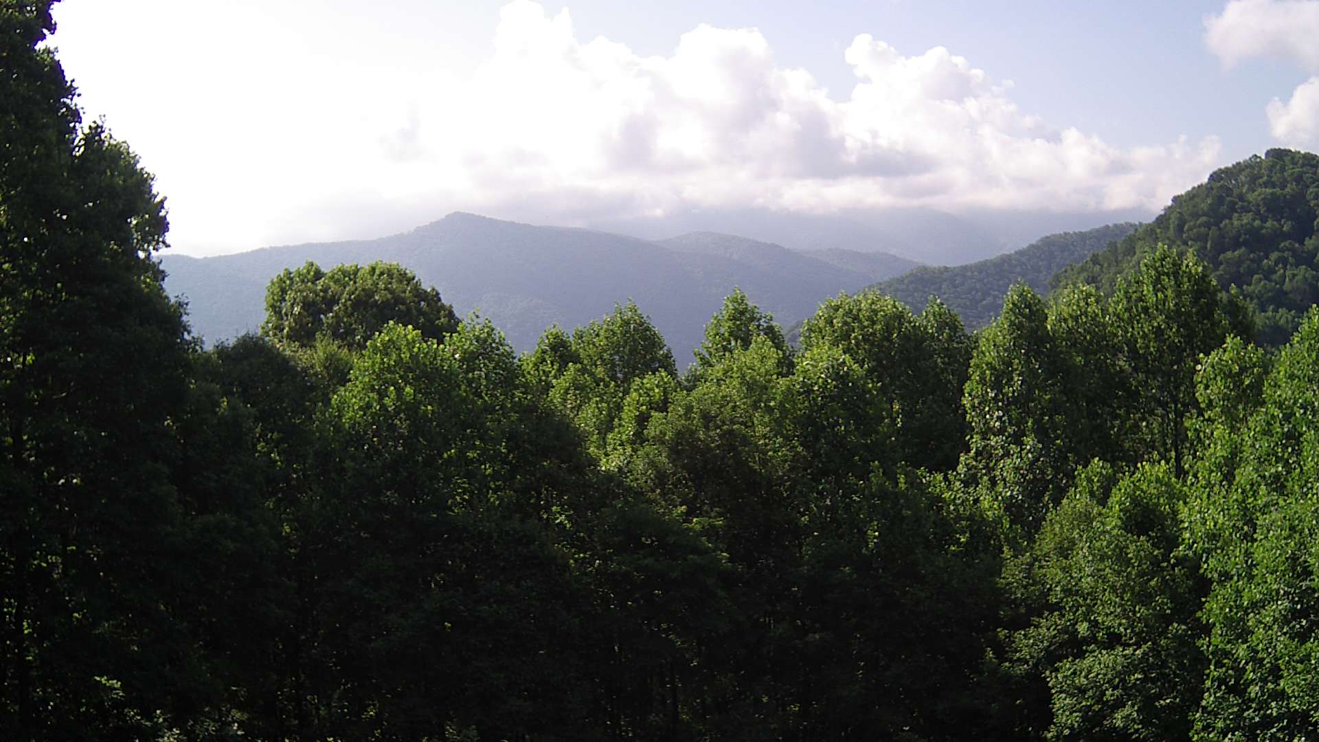 click for next image... slideshow image