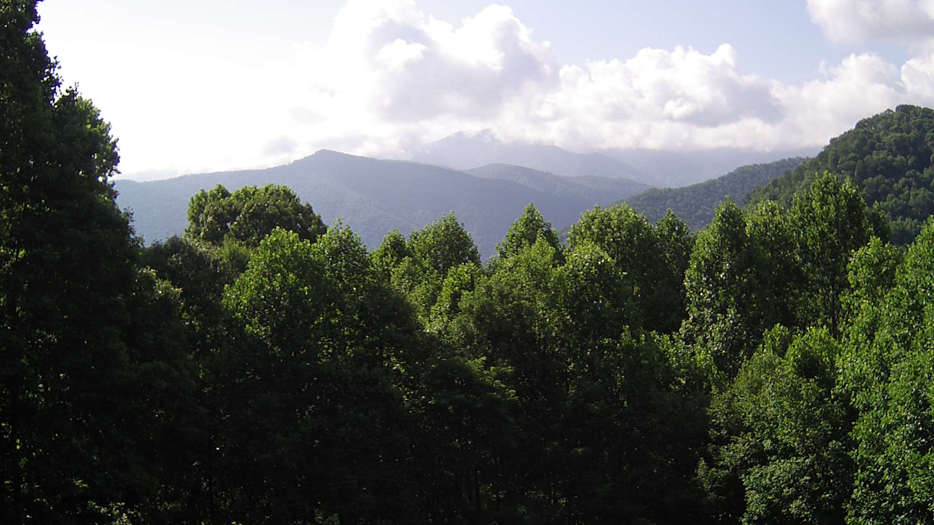 click for next image... slideshow image