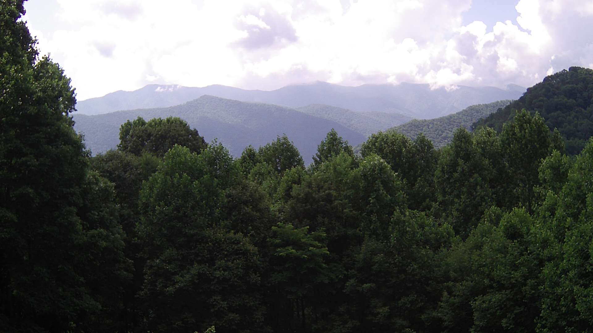 click for next image... slideshow image