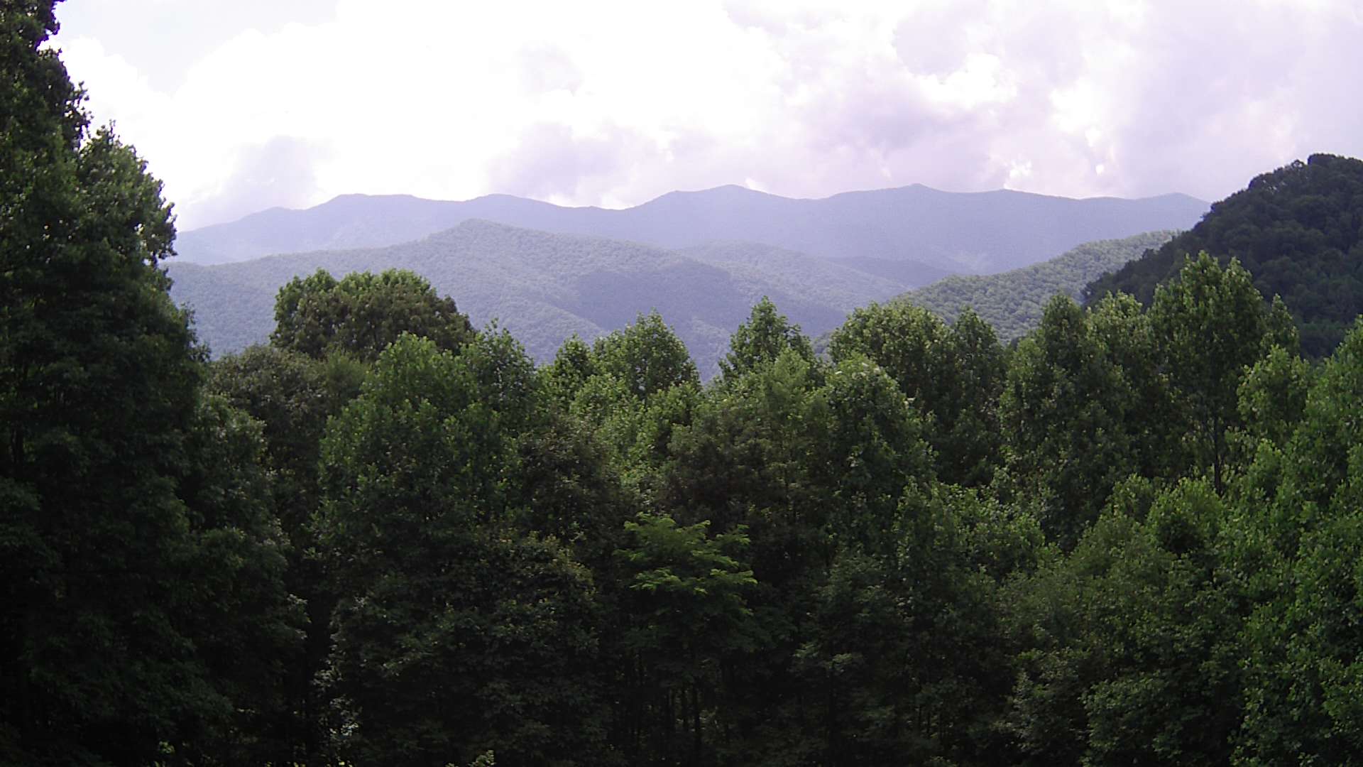 click for next image... slideshow image