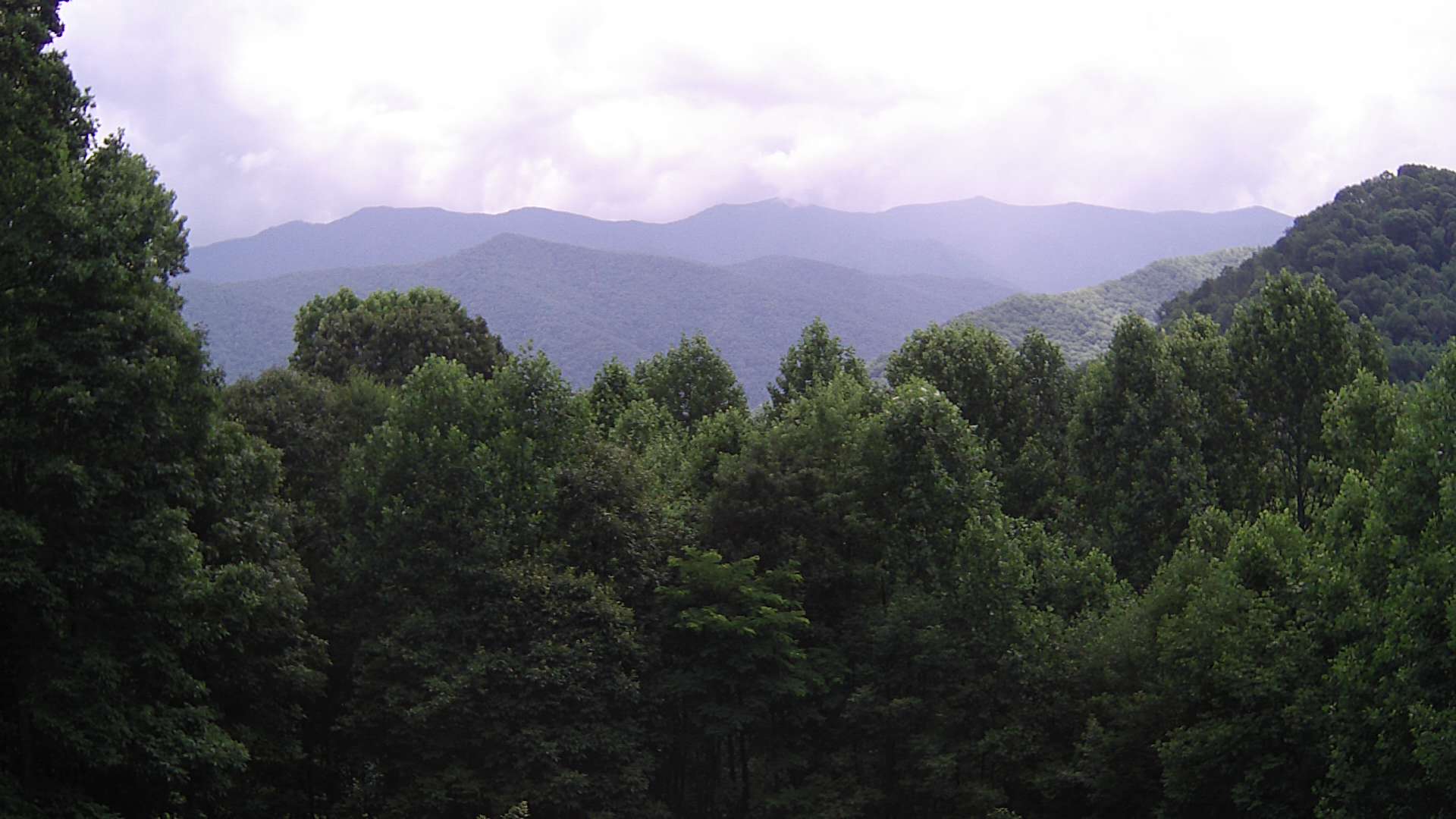 click for next image... slideshow image