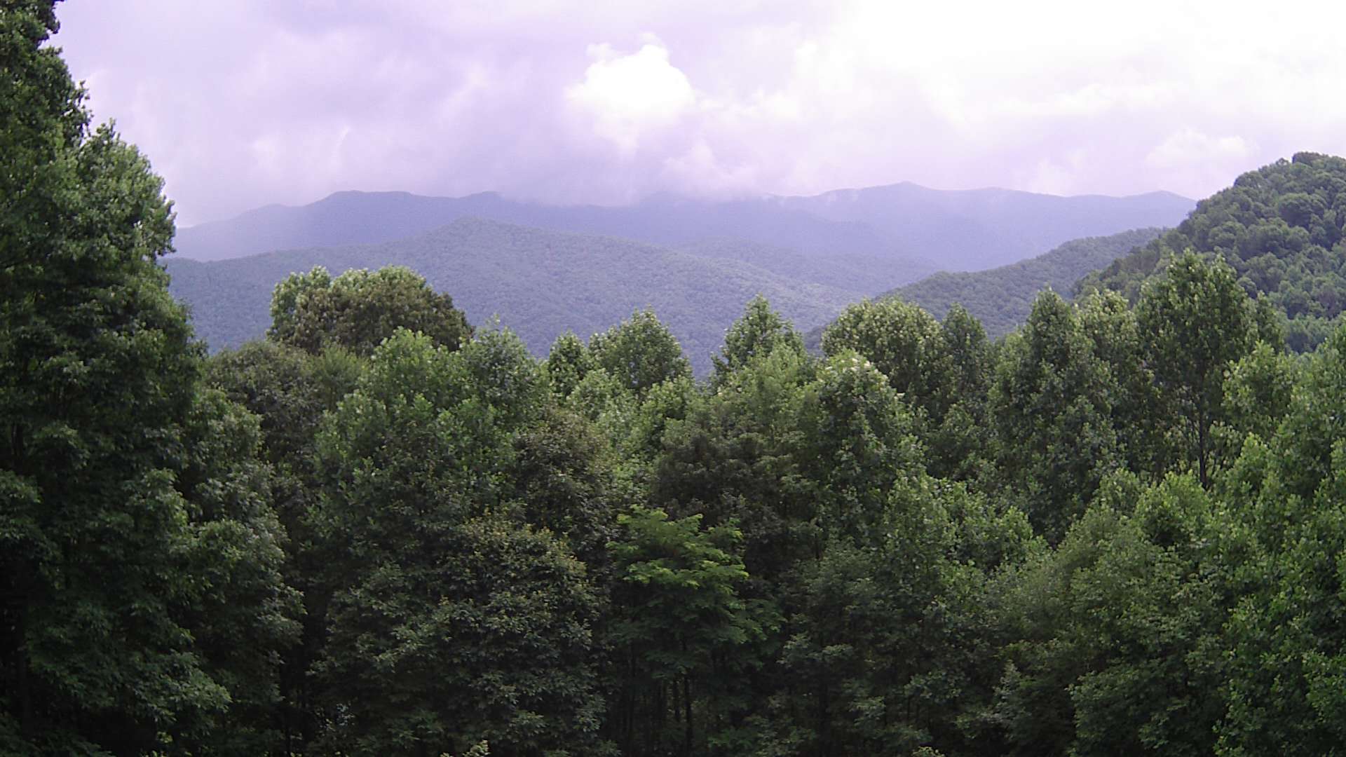 click for next image... slideshow image