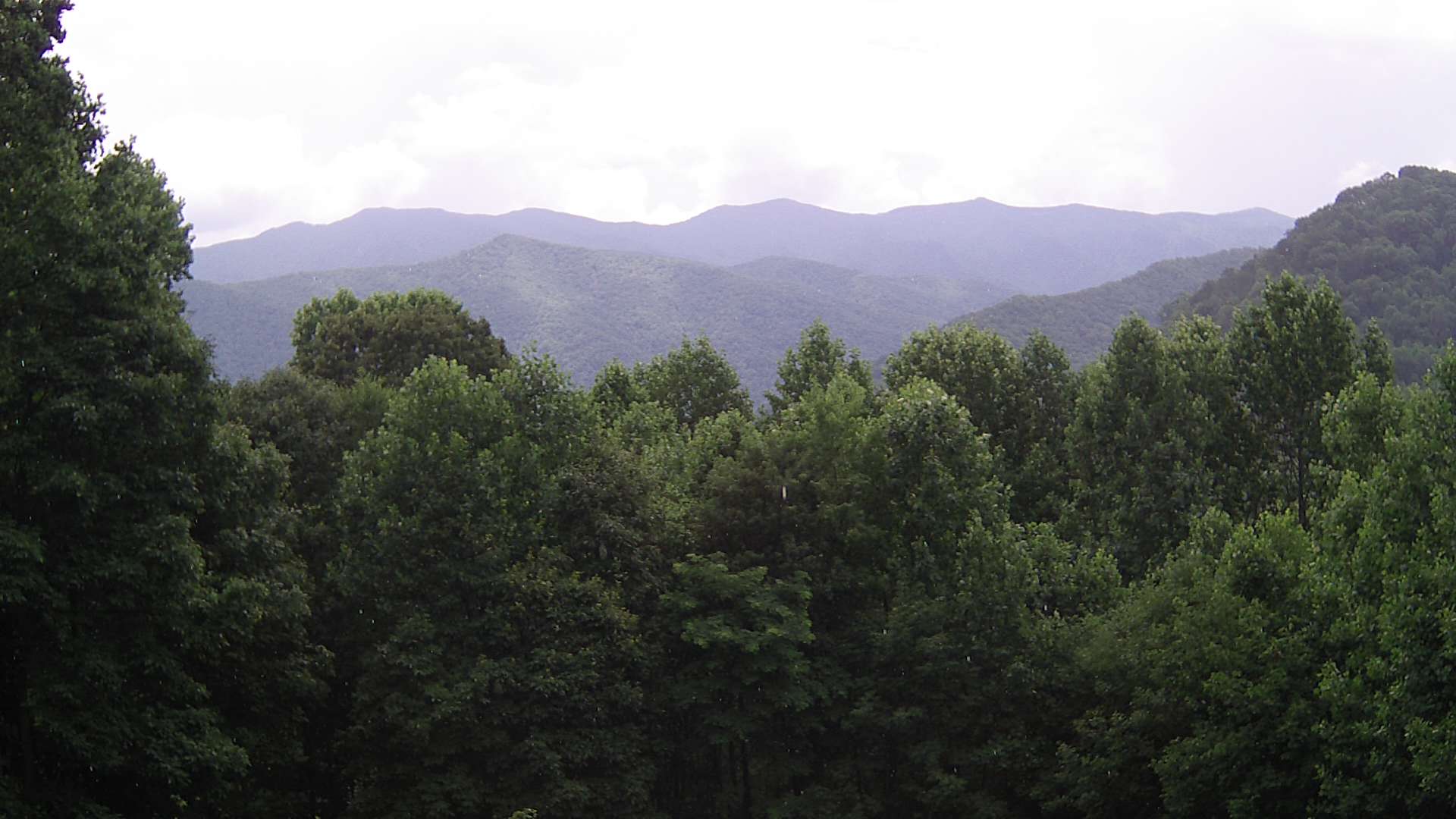 click for next image... slideshow image