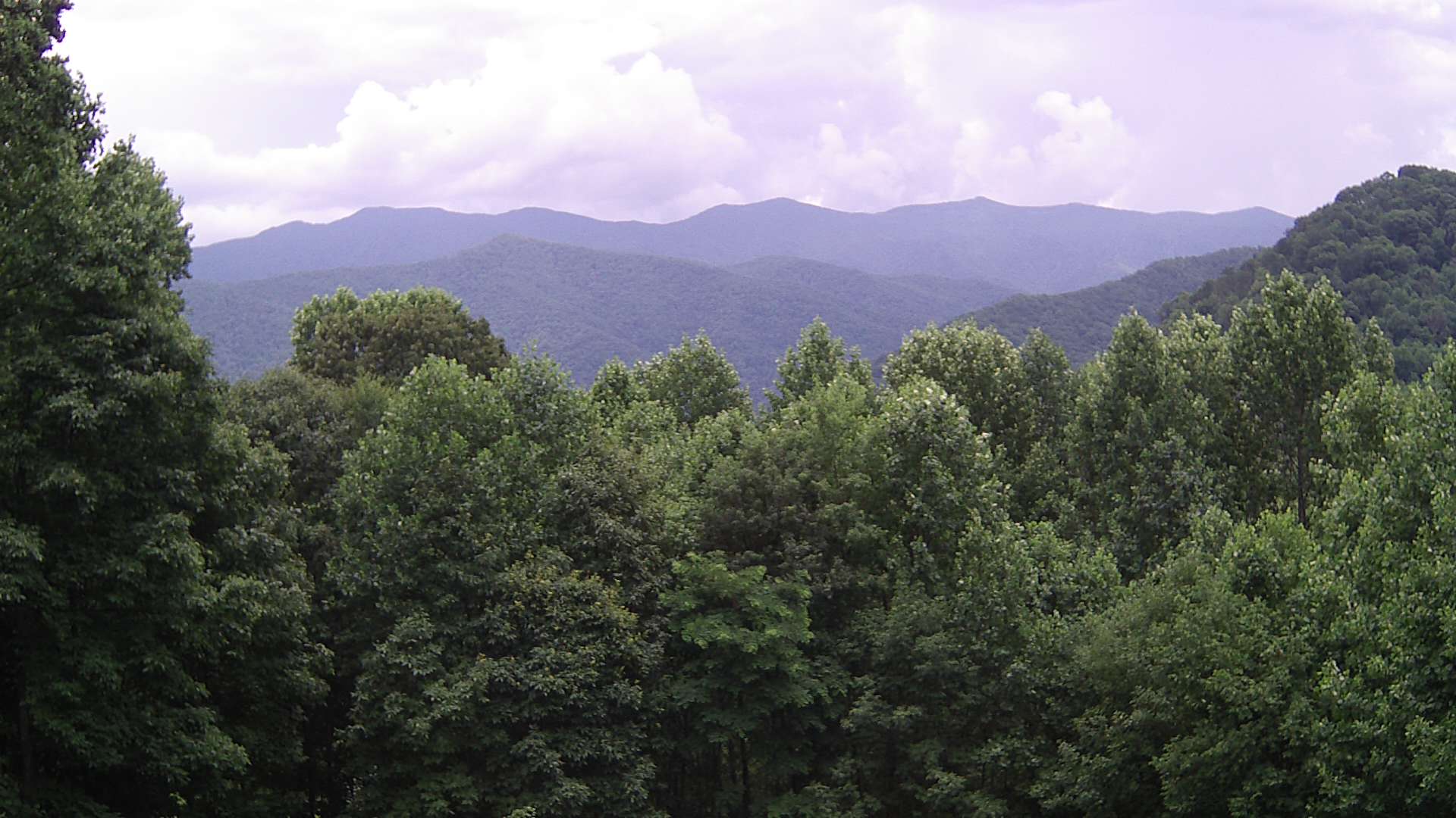 click for next image... slideshow image